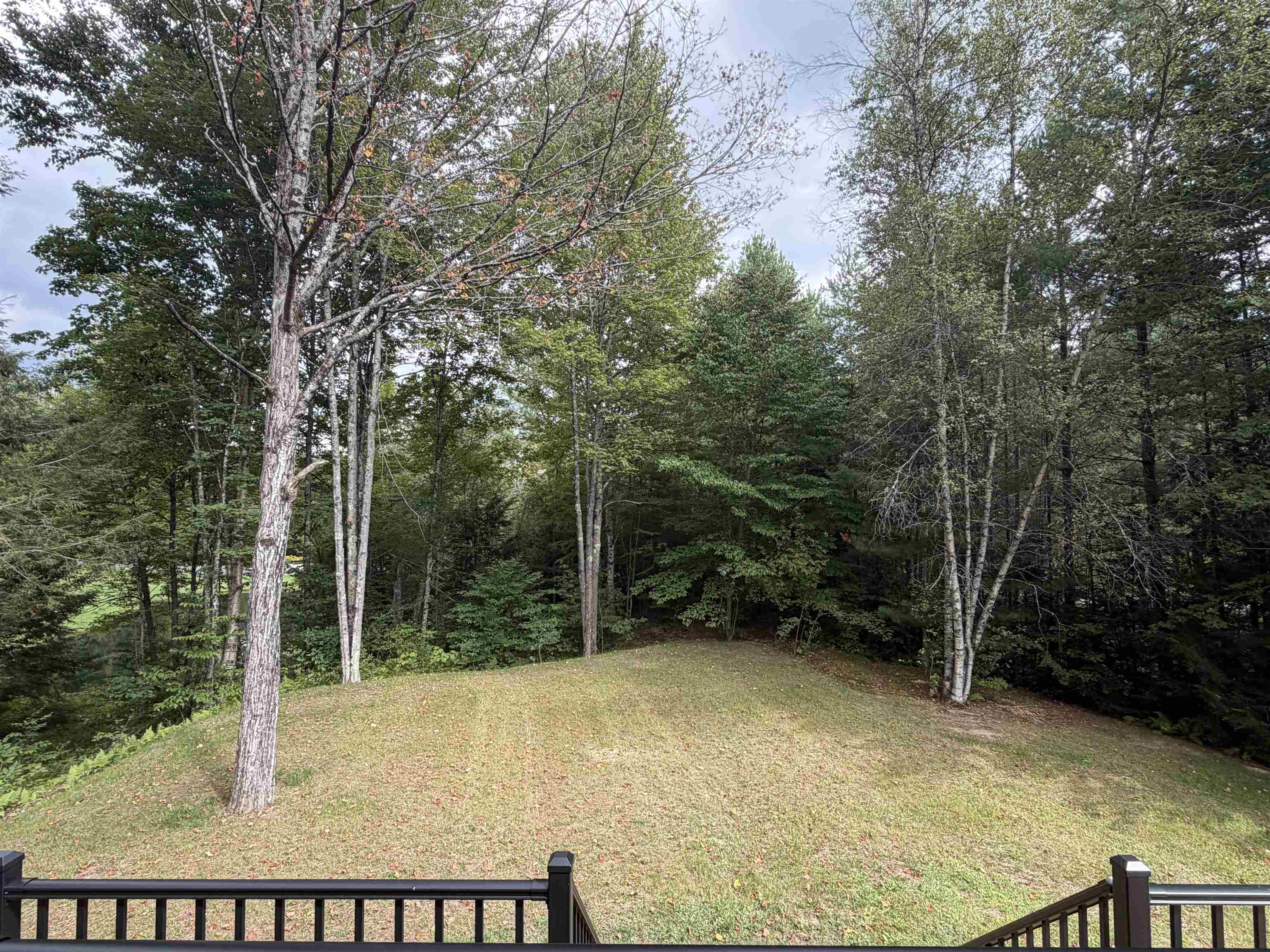 341 Black Bear Run photo 10