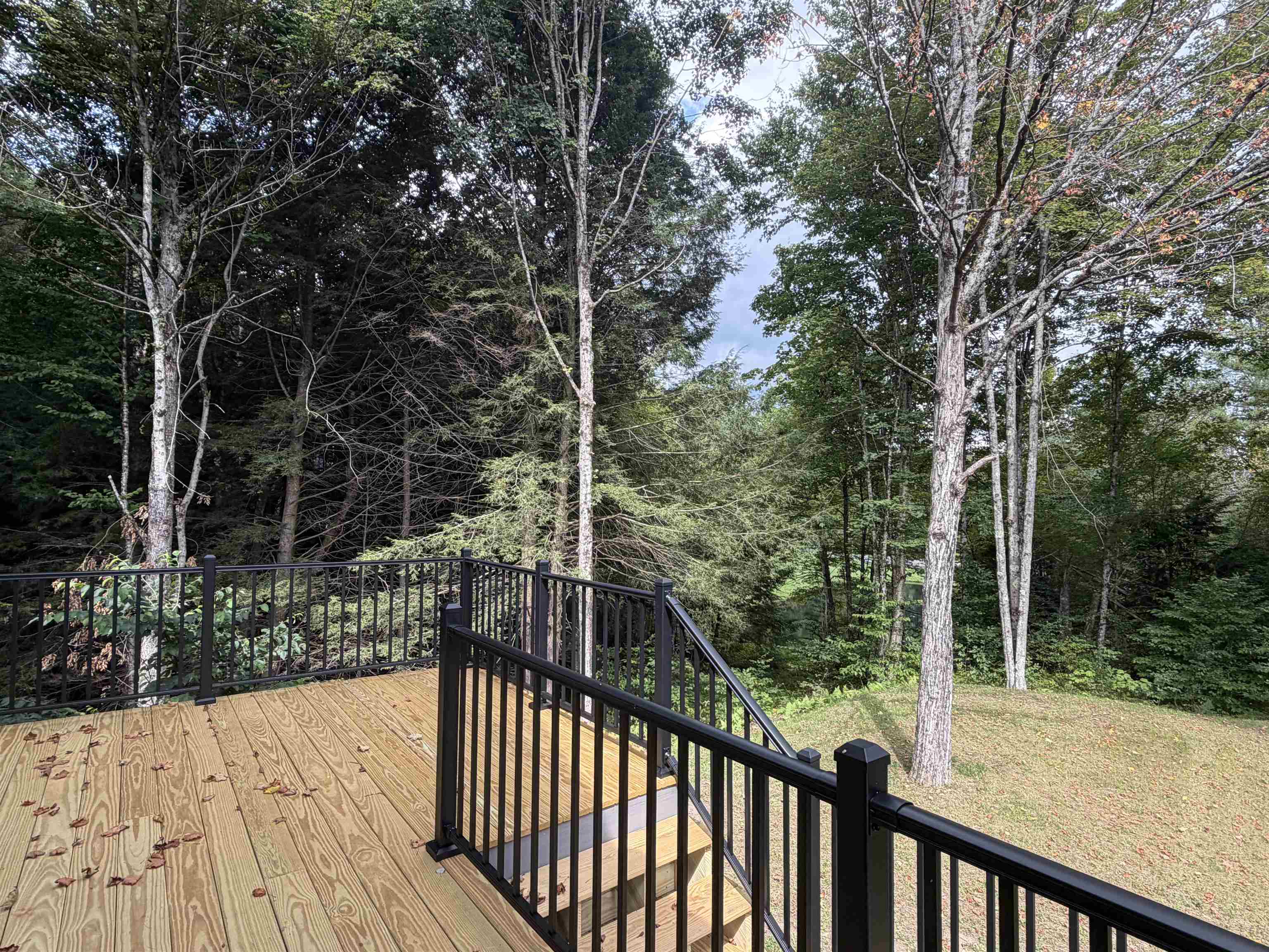 341 Black Bear Run photo 8