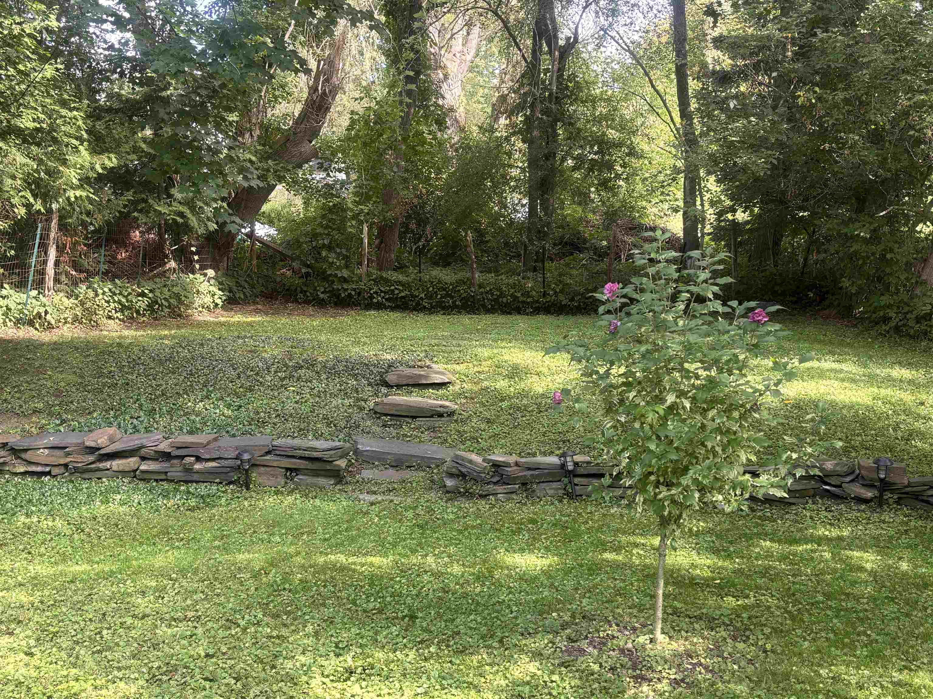 4 Upland Avenue photo 18