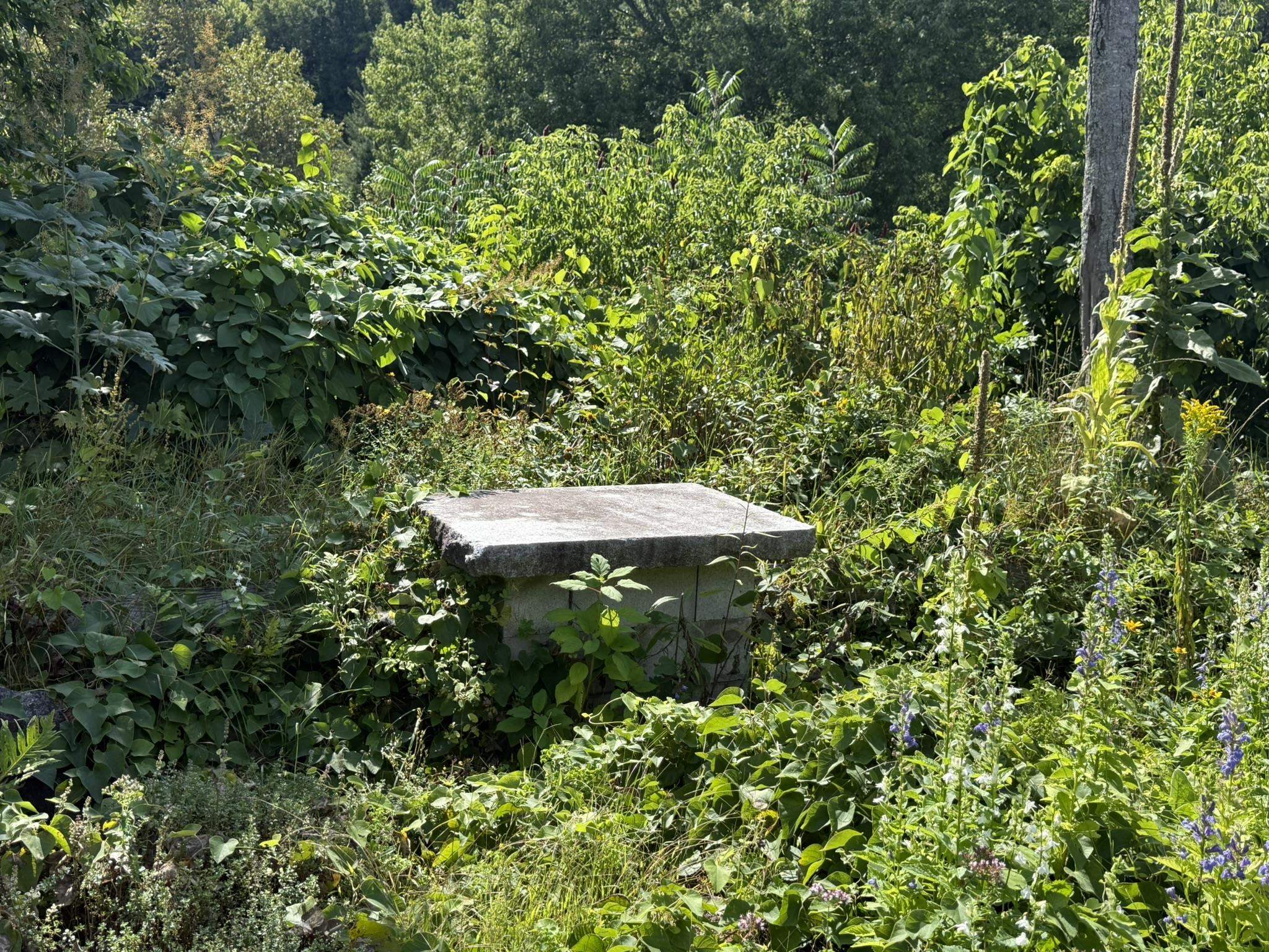 22 Bernard Smith Road photo 24