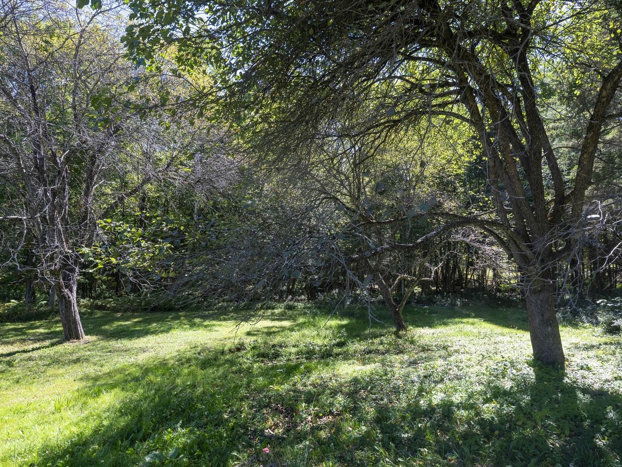 123 Batchelder Street photo 54