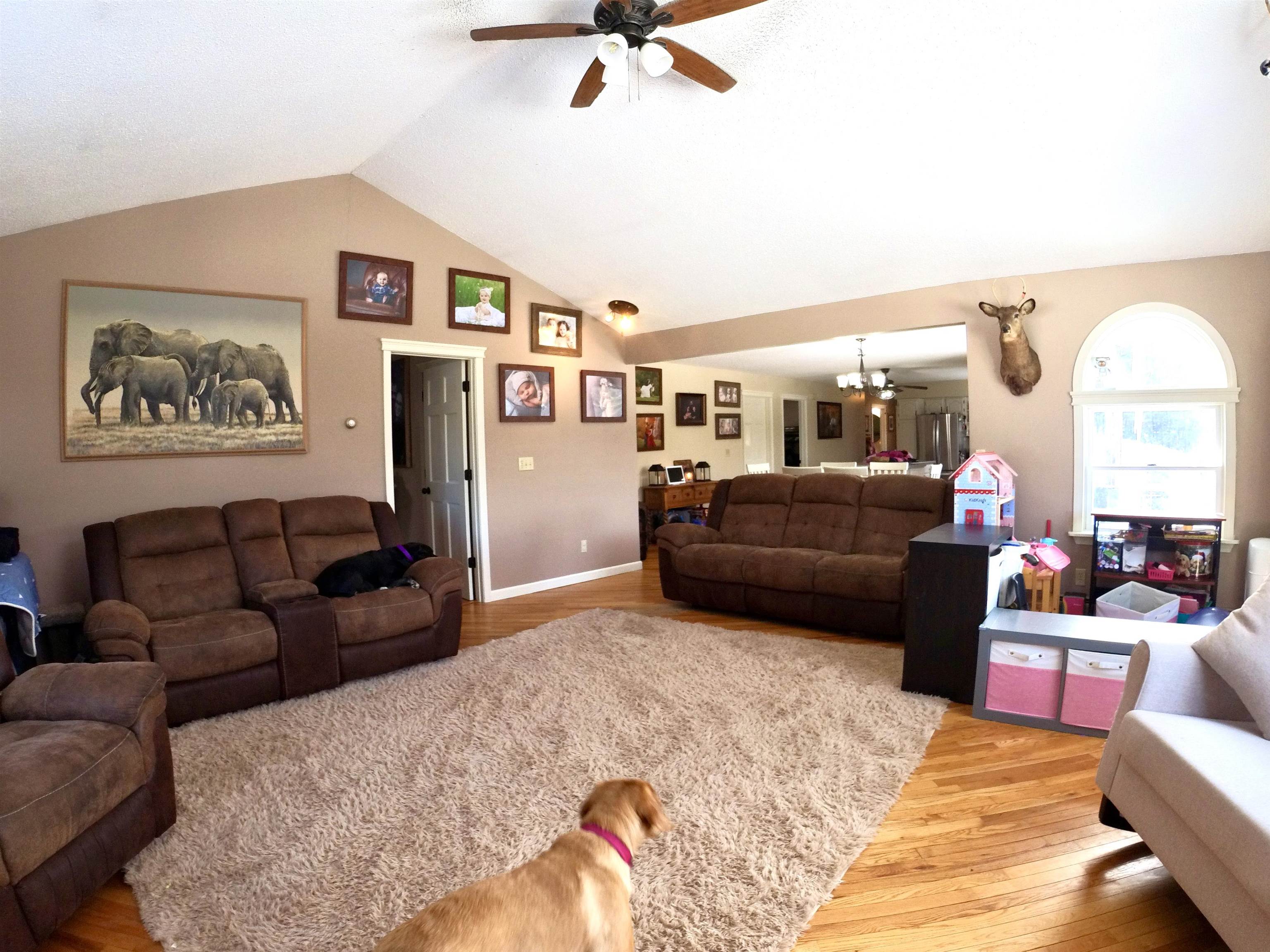 3433 Glover Street photo 21