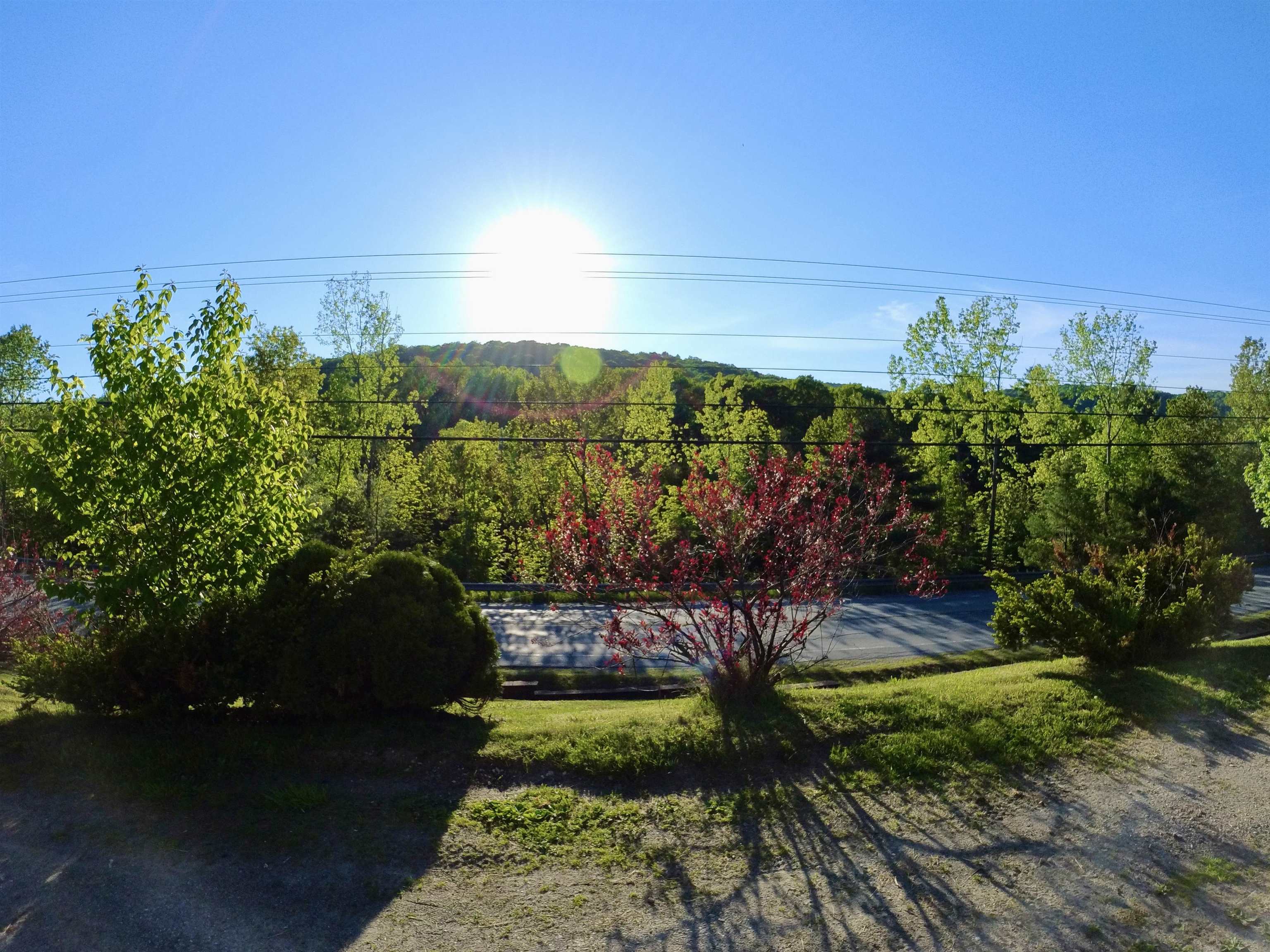 3433 Glover Street photo 28
