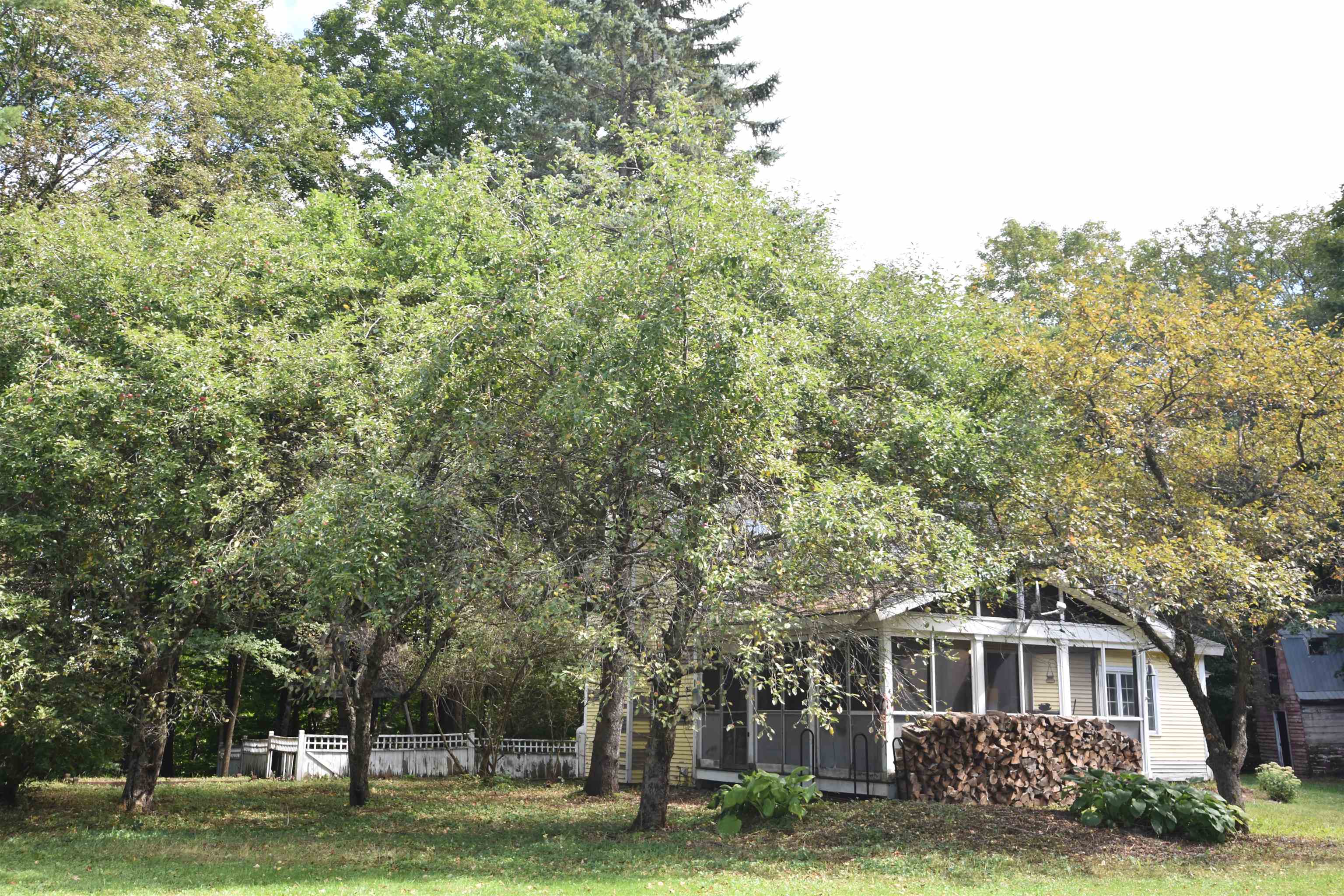 293 Stagecoach Road photo 28