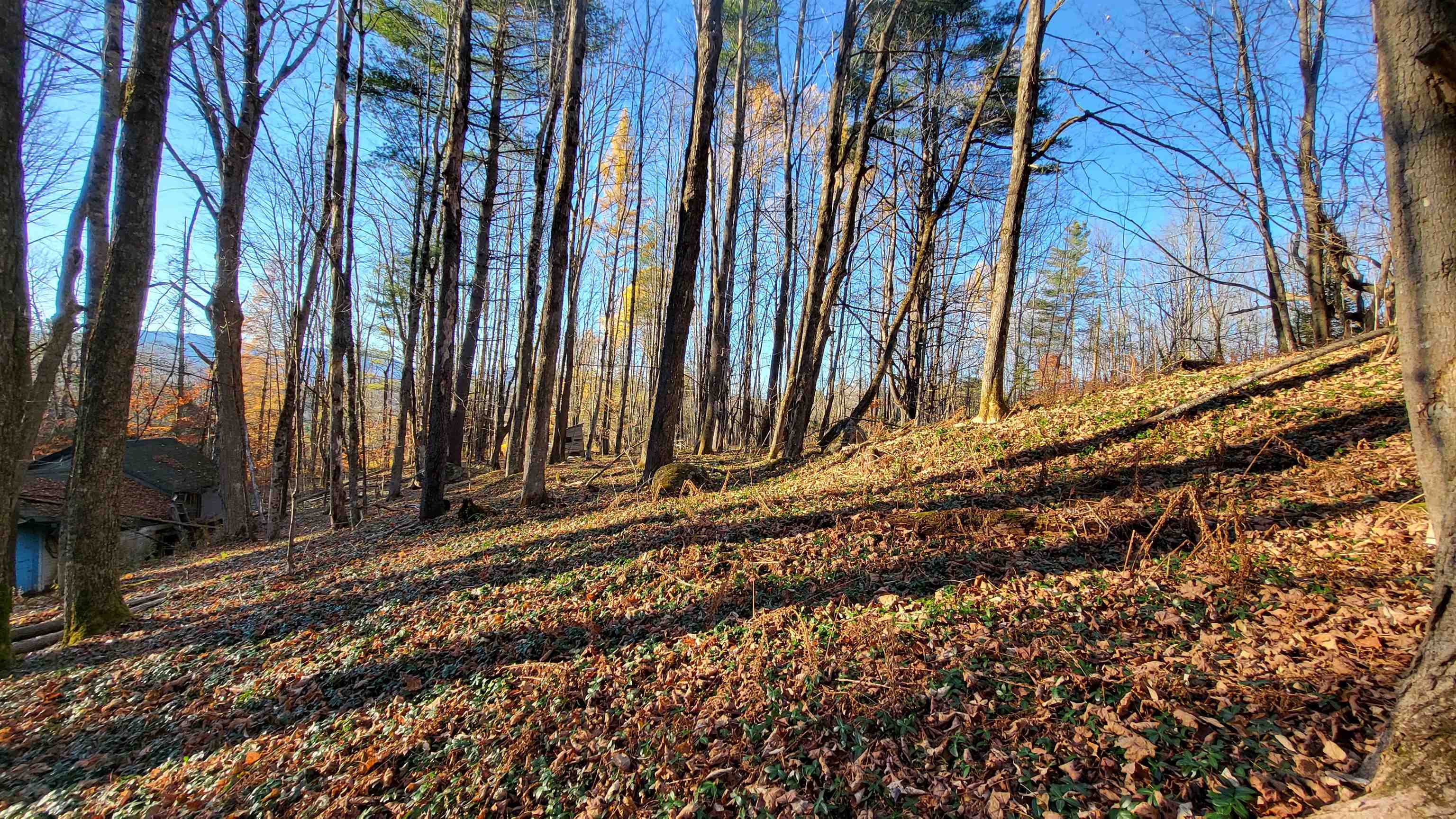 535 Collar Hill Road photo 2