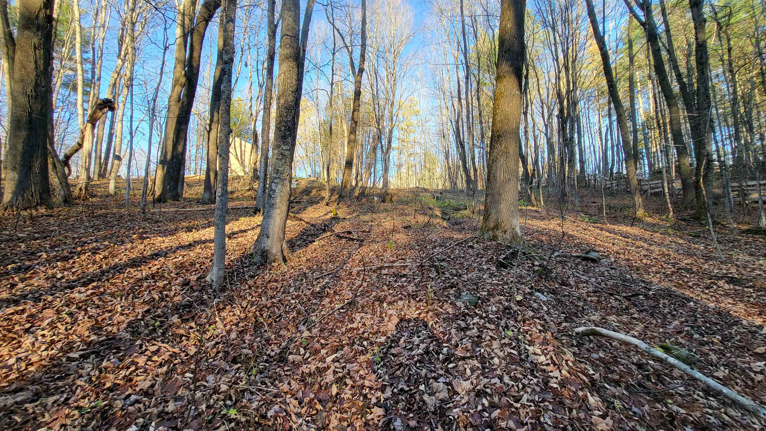 535 Collar Hill Road photo 3