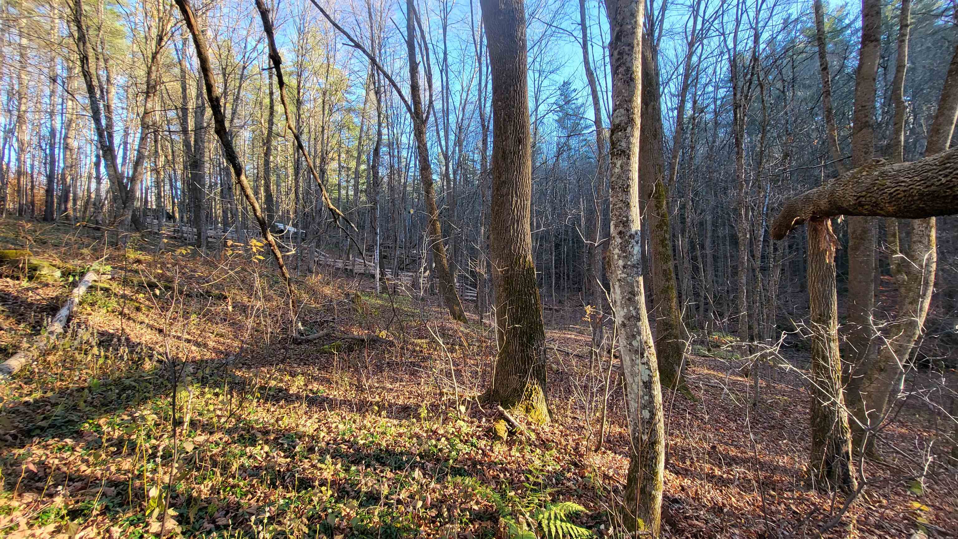 535 Collar Hill Road photo 4
