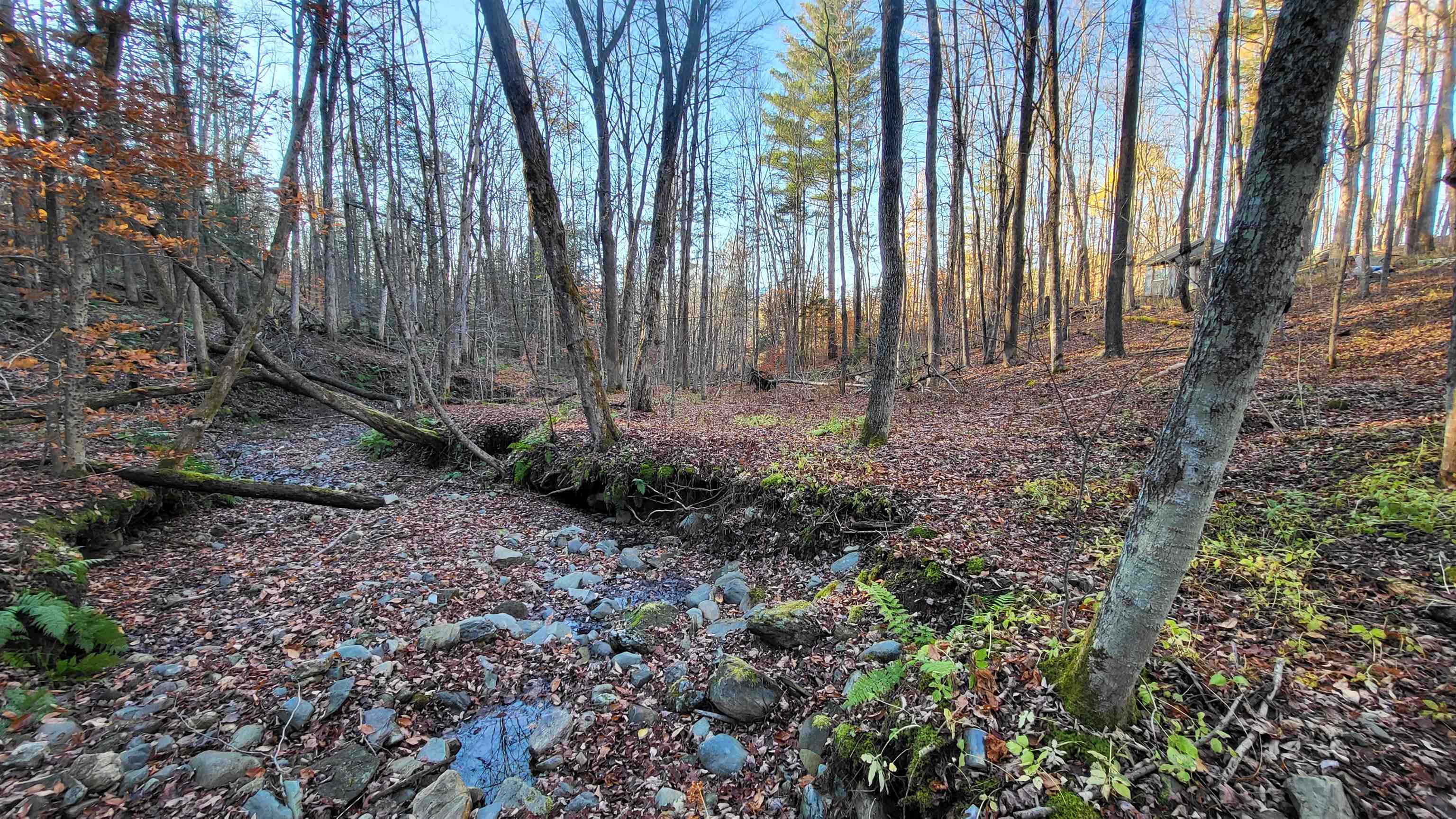 535 Collar Hill Road photo 5