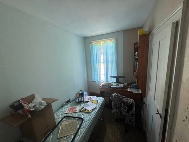 317 Auld Lang Syne Road photo 21