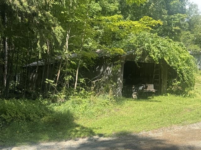 317 Auld Lang Syne Road photo 33