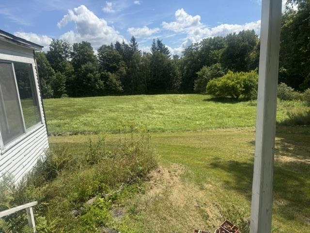 317 Auld Lang Syne Road photo 7