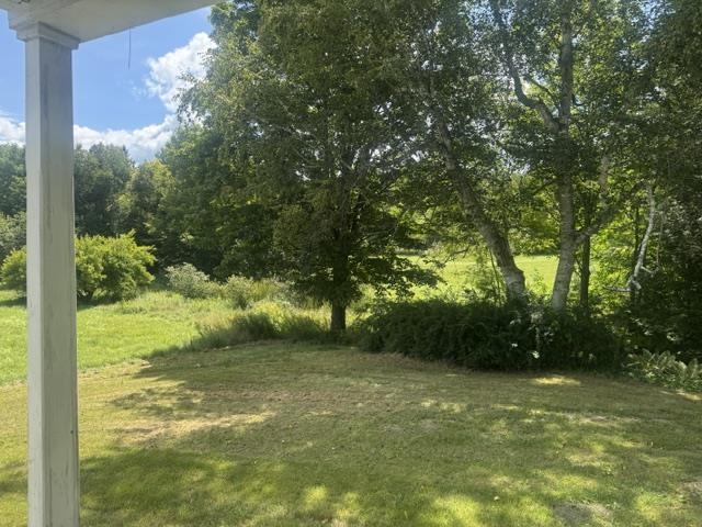 317 Auld Lang Syne Road photo 8