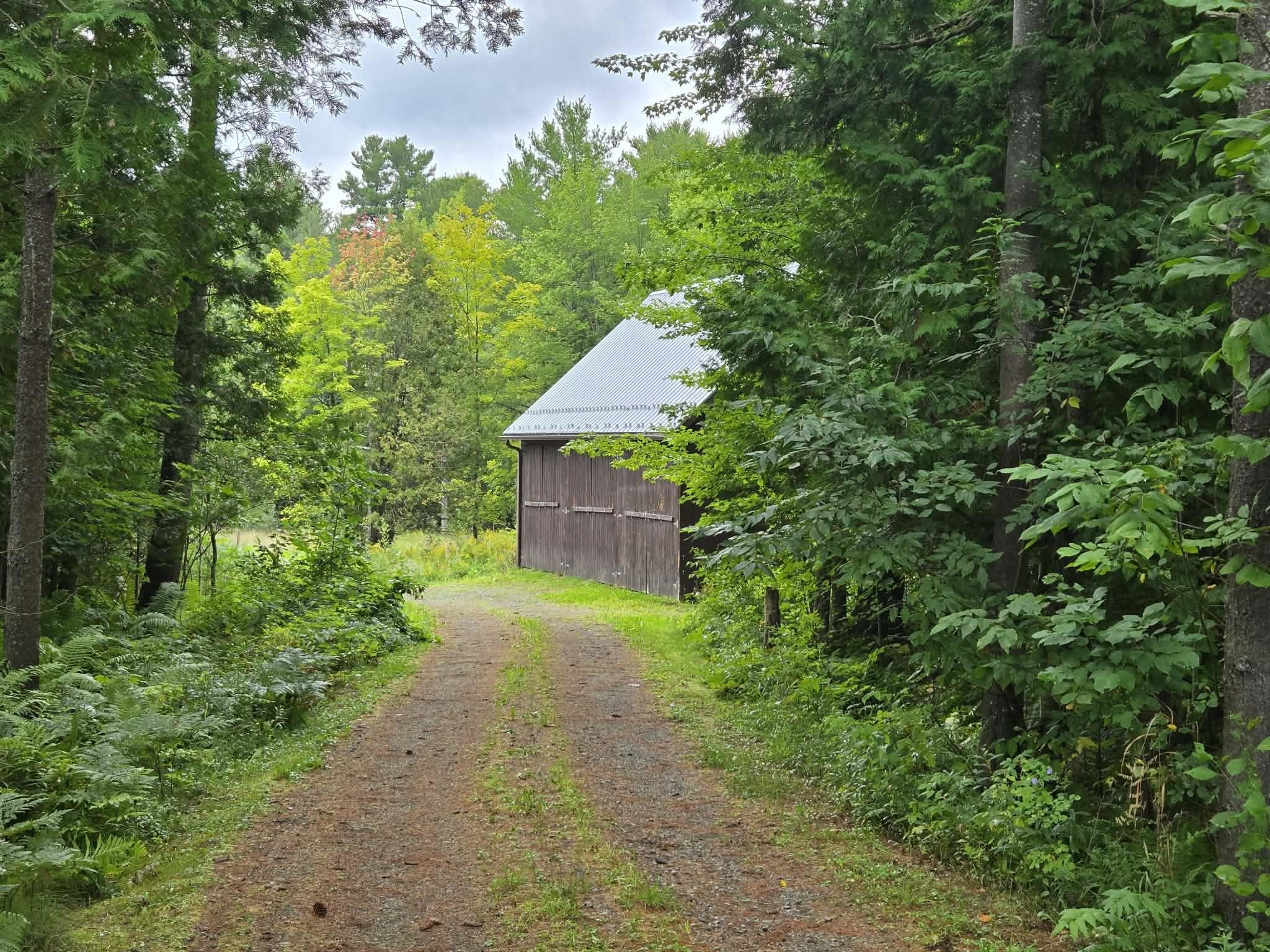 5391 Loop Road photo 35