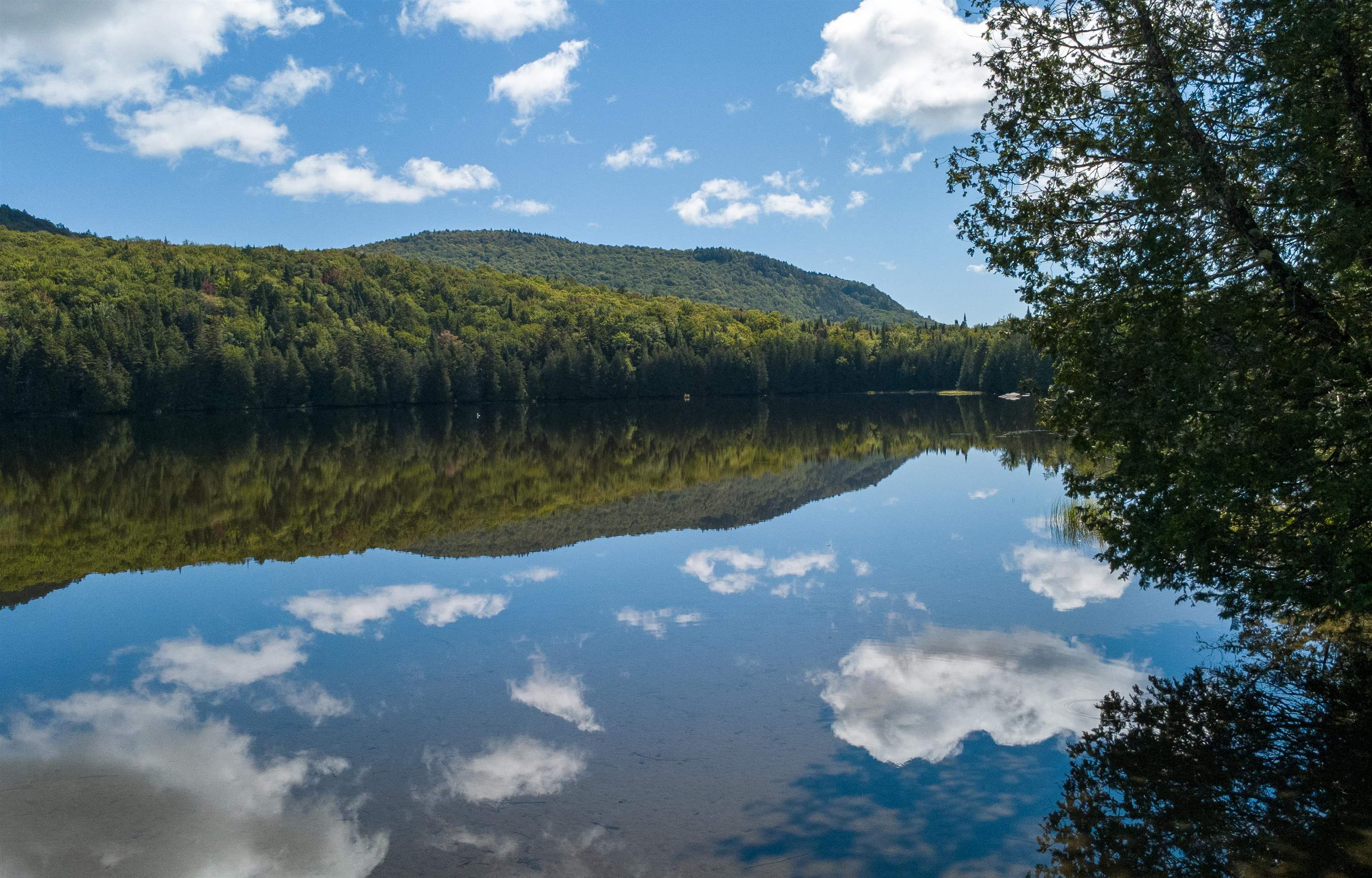 926 Center Pond Road photo 40