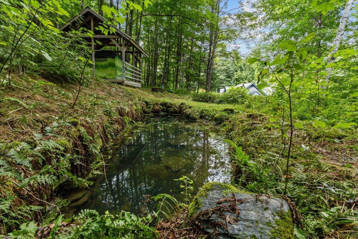 61 Bear Road photo 45