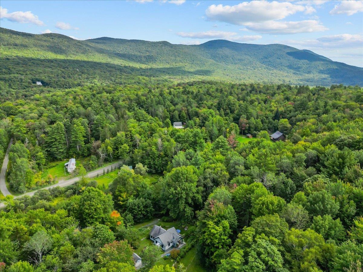 61 Bear Road photo 52