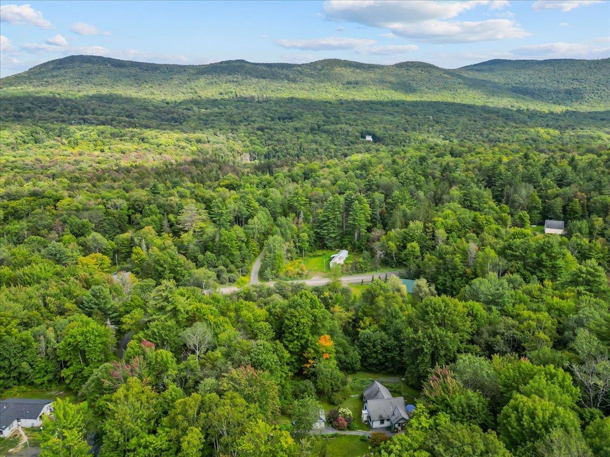 61 Bear Road photo 53
