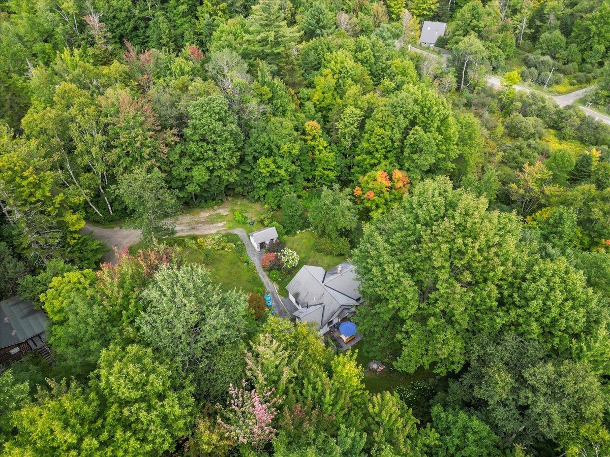 61 Bear Road photo 55