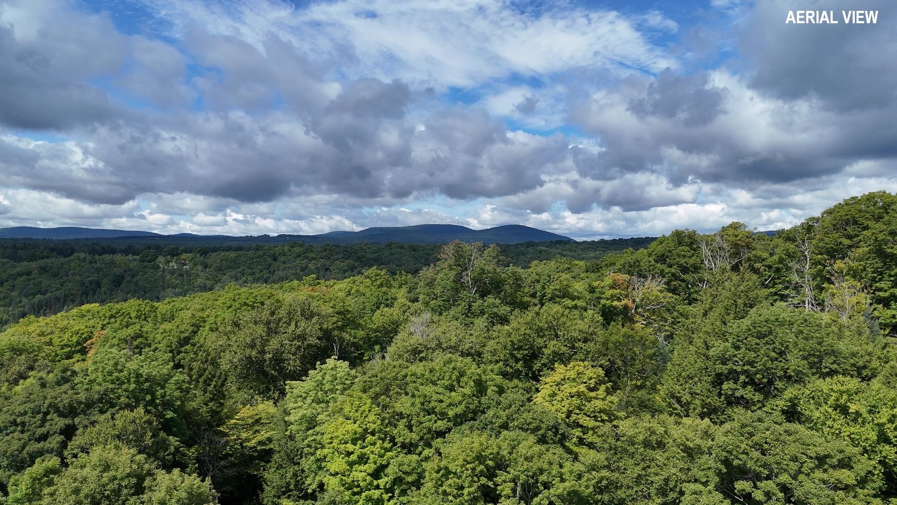 135 East Ridge Road photo 39
