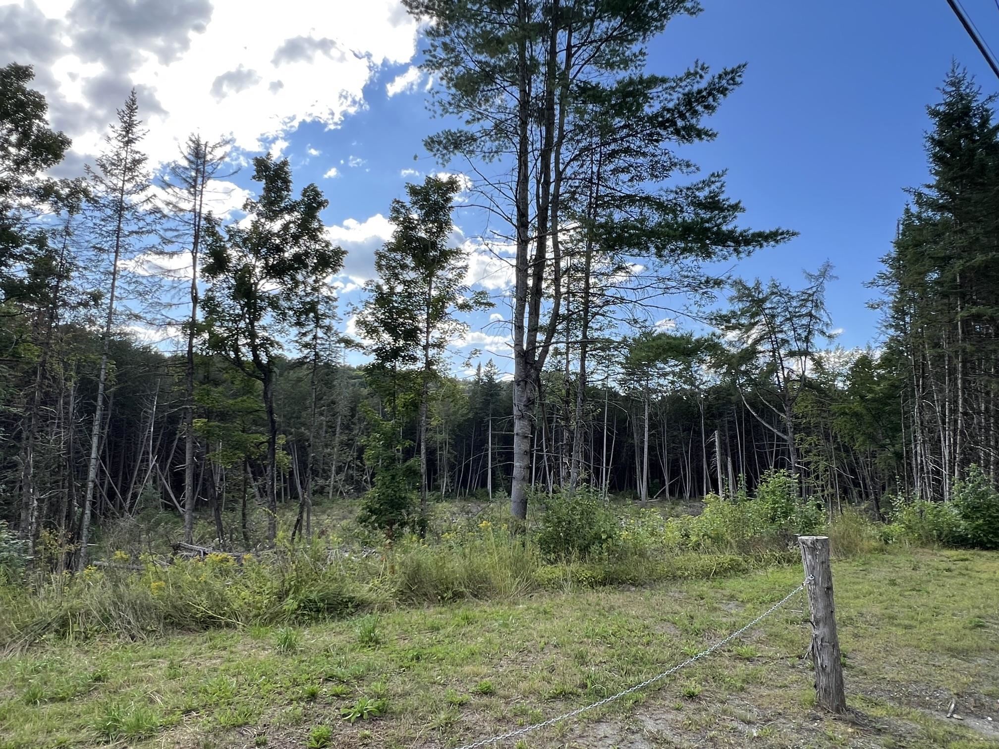 135 East Ridge Road photo 50