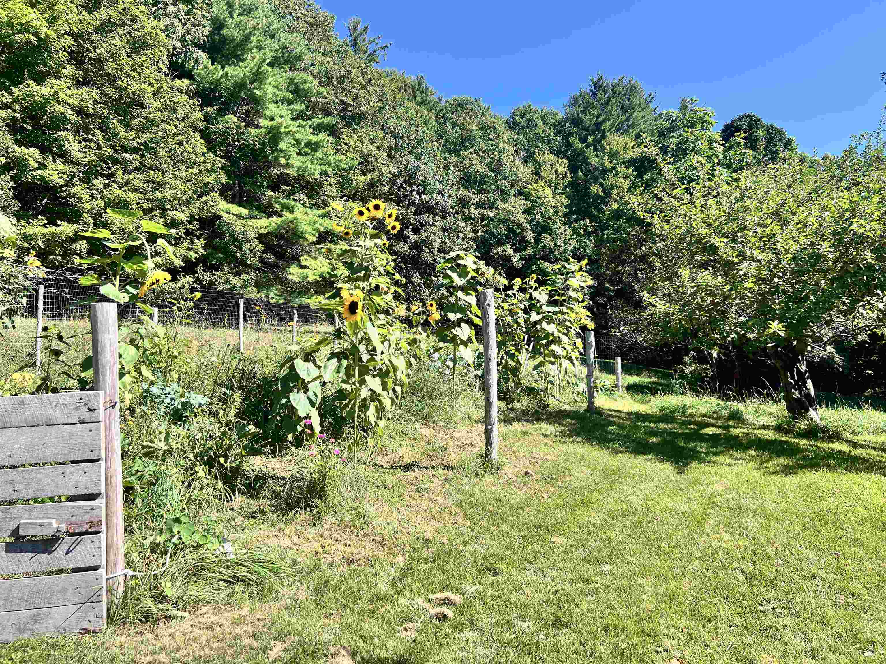 575  Somers Road photo 31