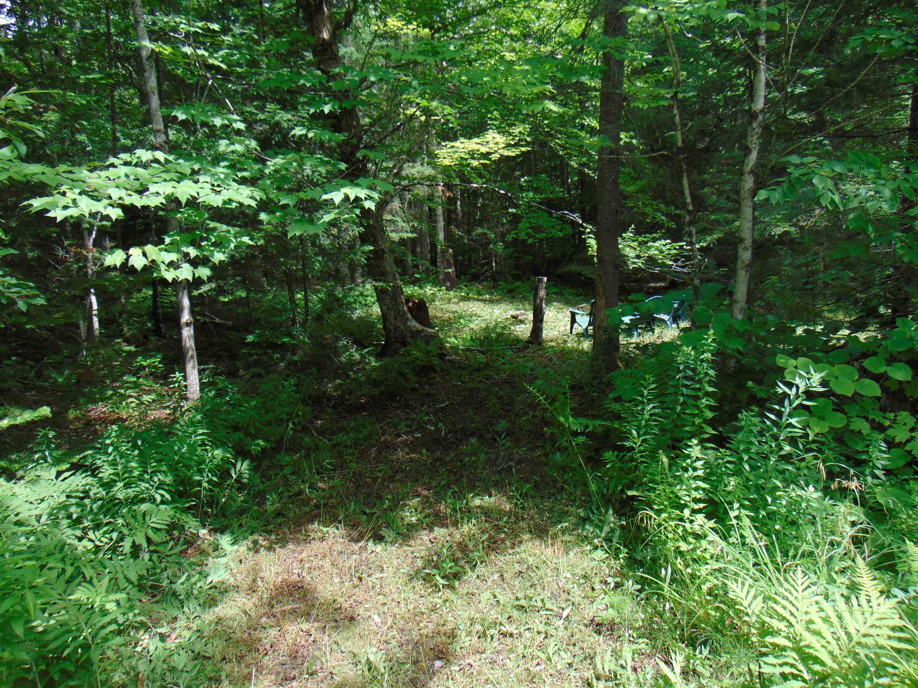 2064 Coles Pond Road photo 21