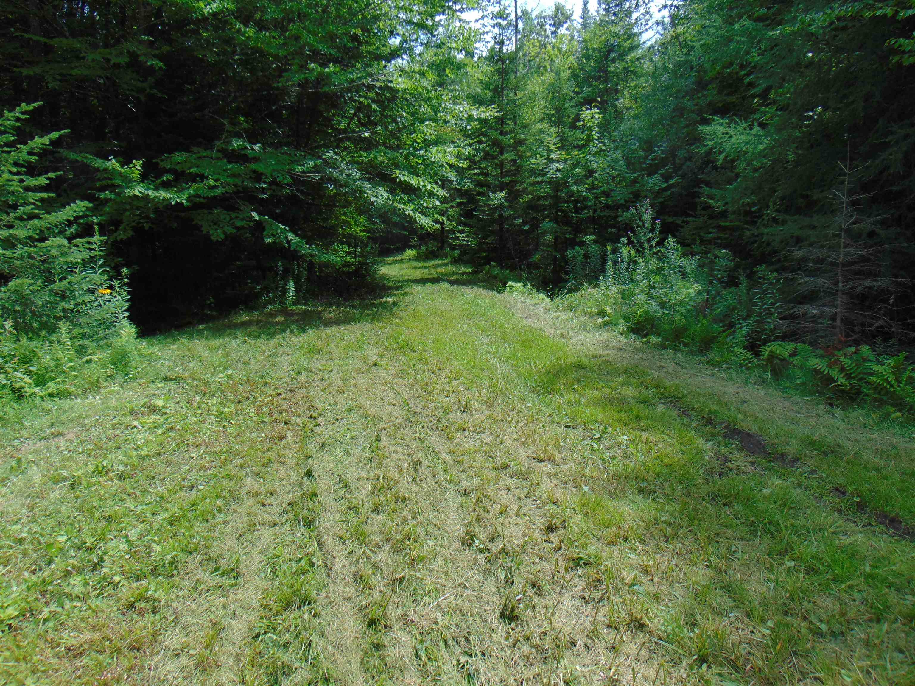 2064 Coles Pond Road photo 22