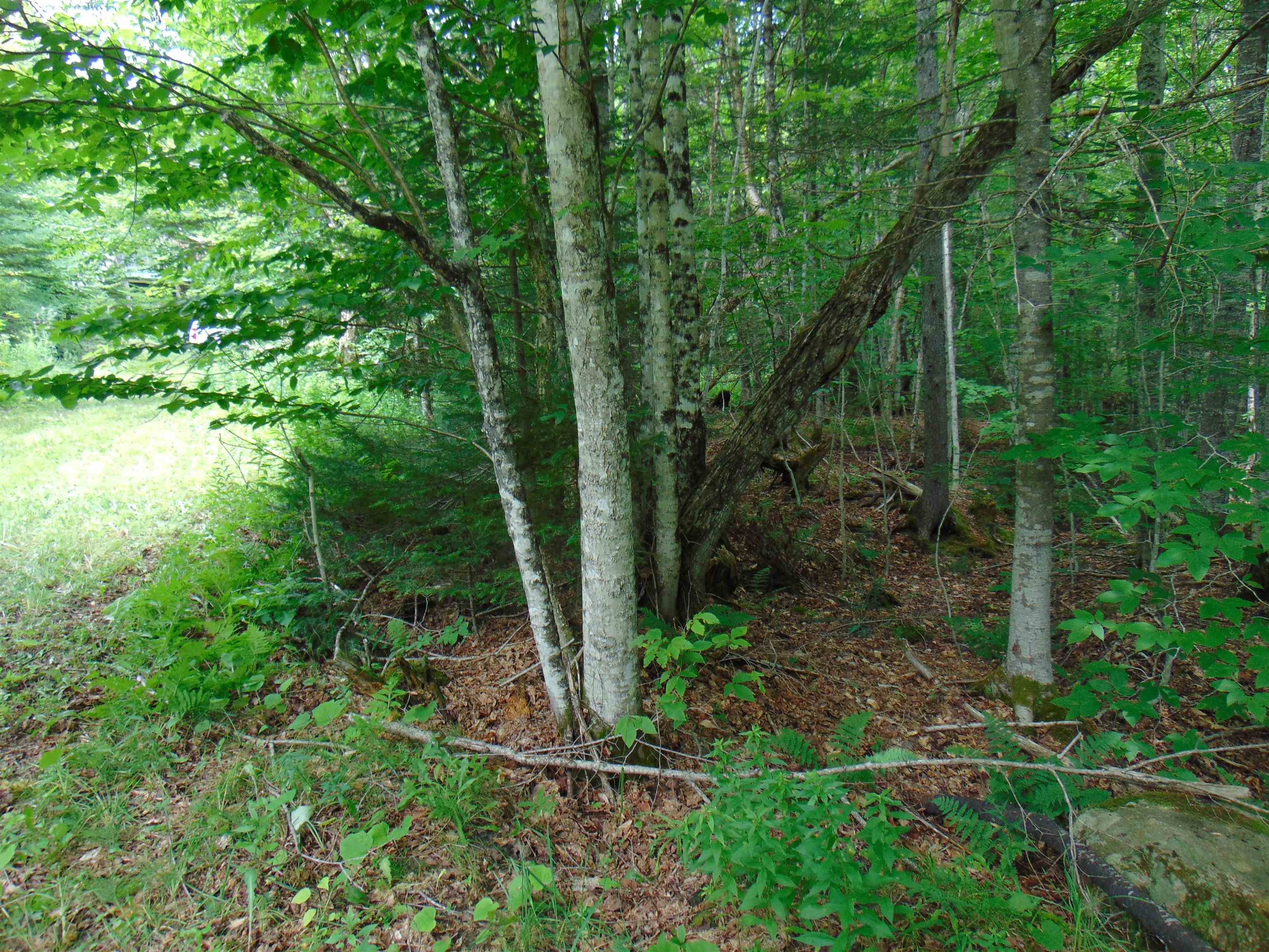 2064 Coles Pond Road photo 23