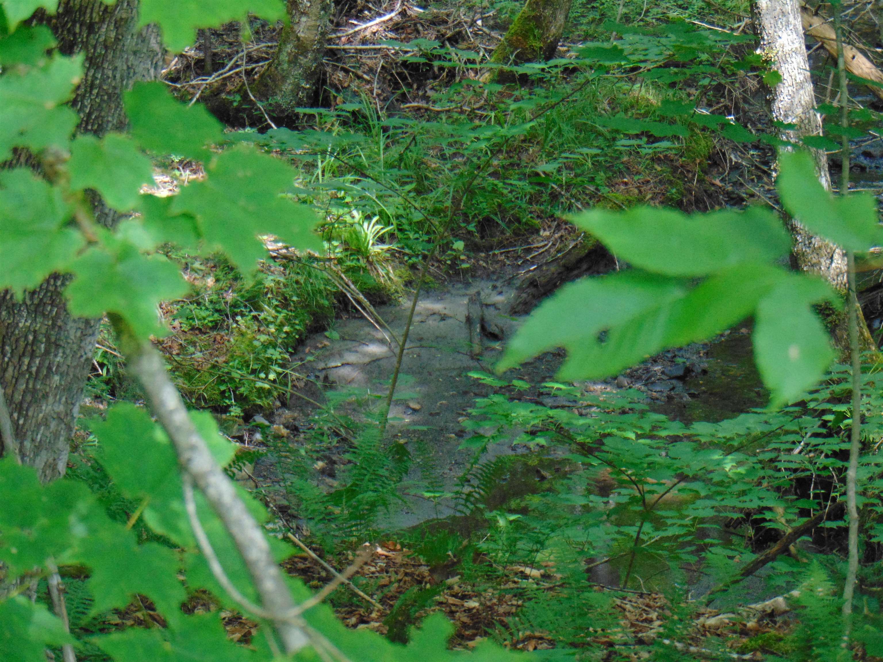 2064 Coles Pond Road photo 24
