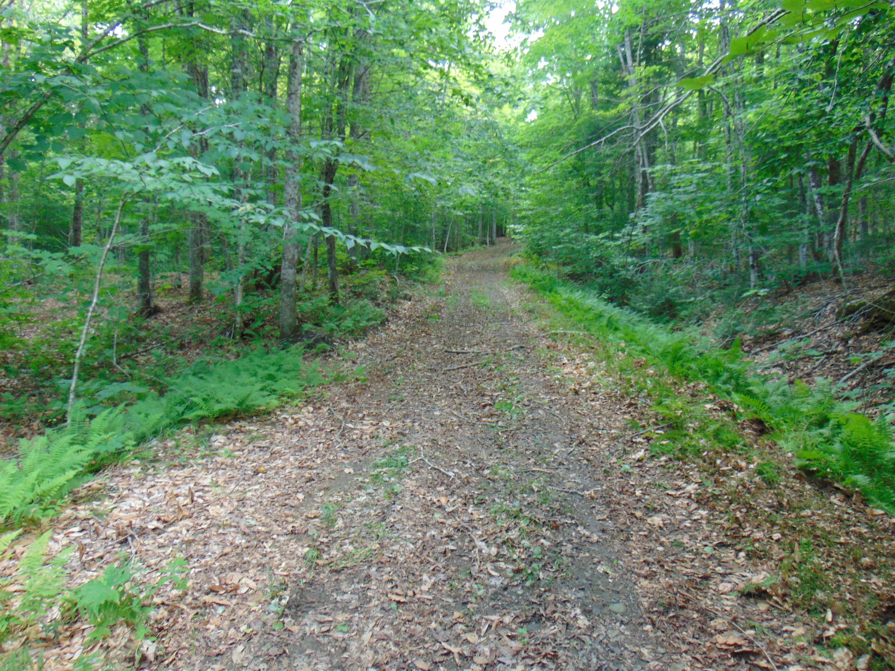 2064 Coles Pond Road photo 26