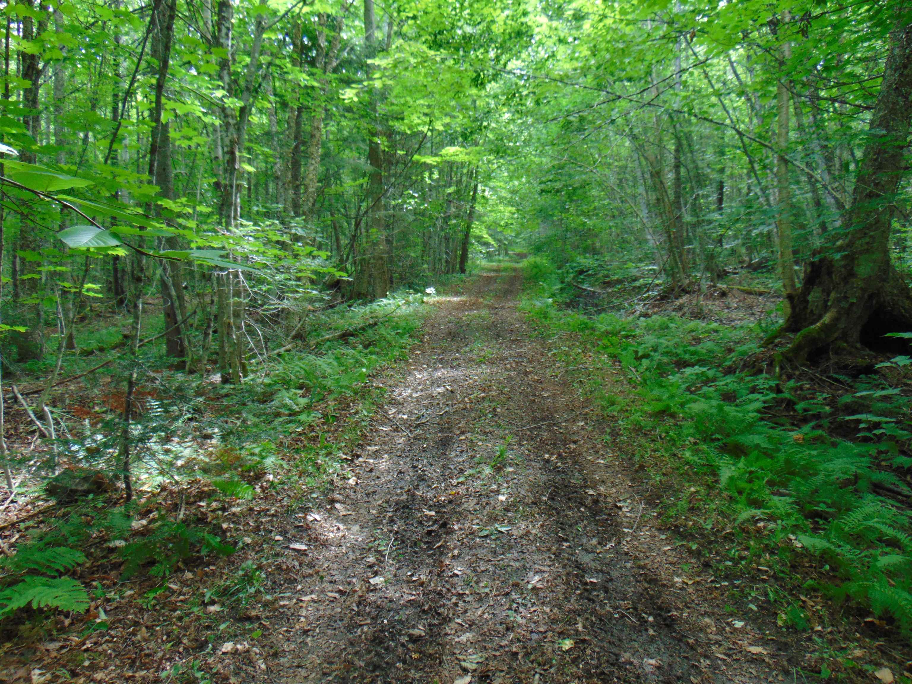 2064 Coles Pond Road photo 27