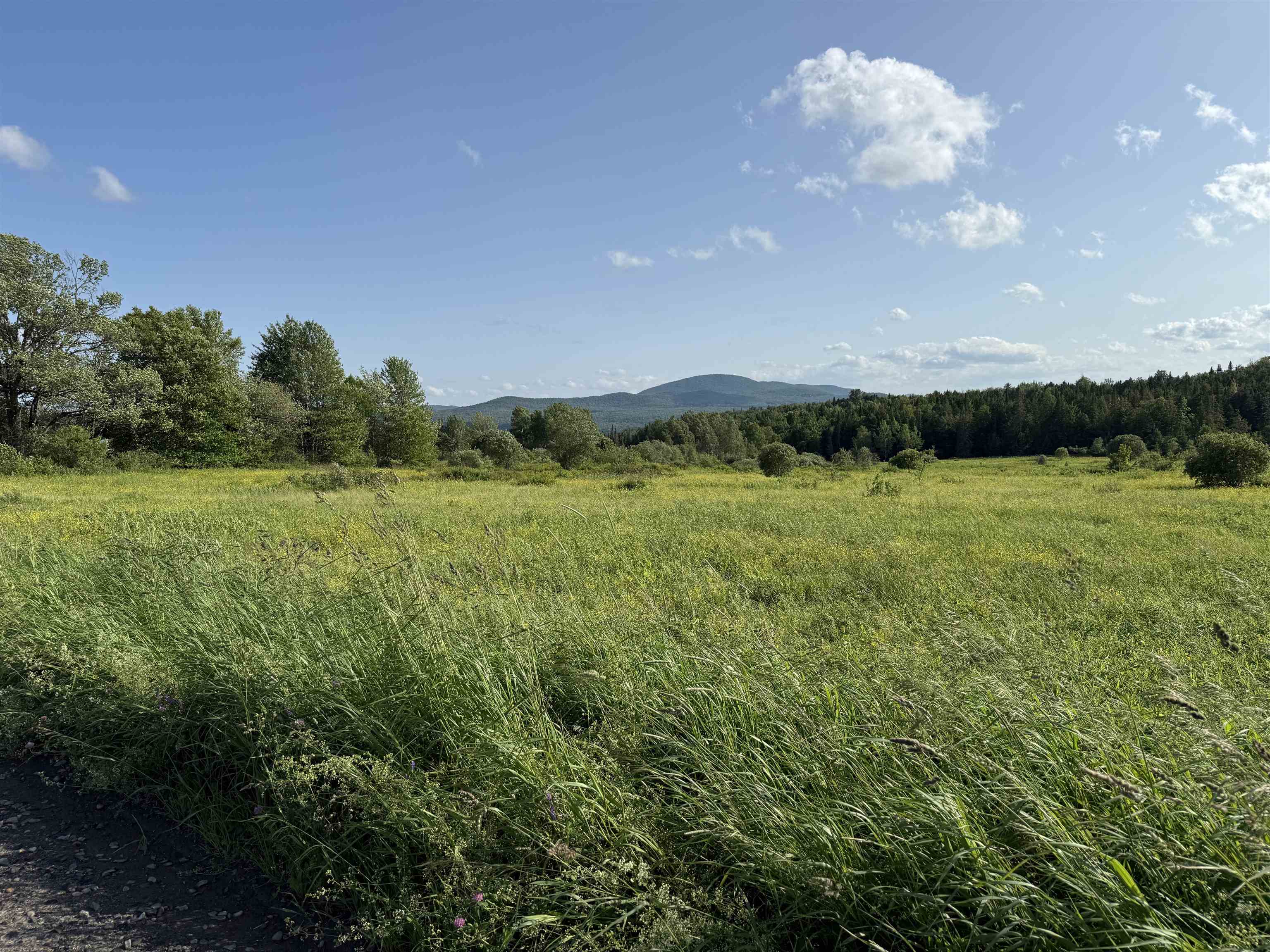 near Lot 4 East Hill Road Wolcott, VT 05680 Property 1