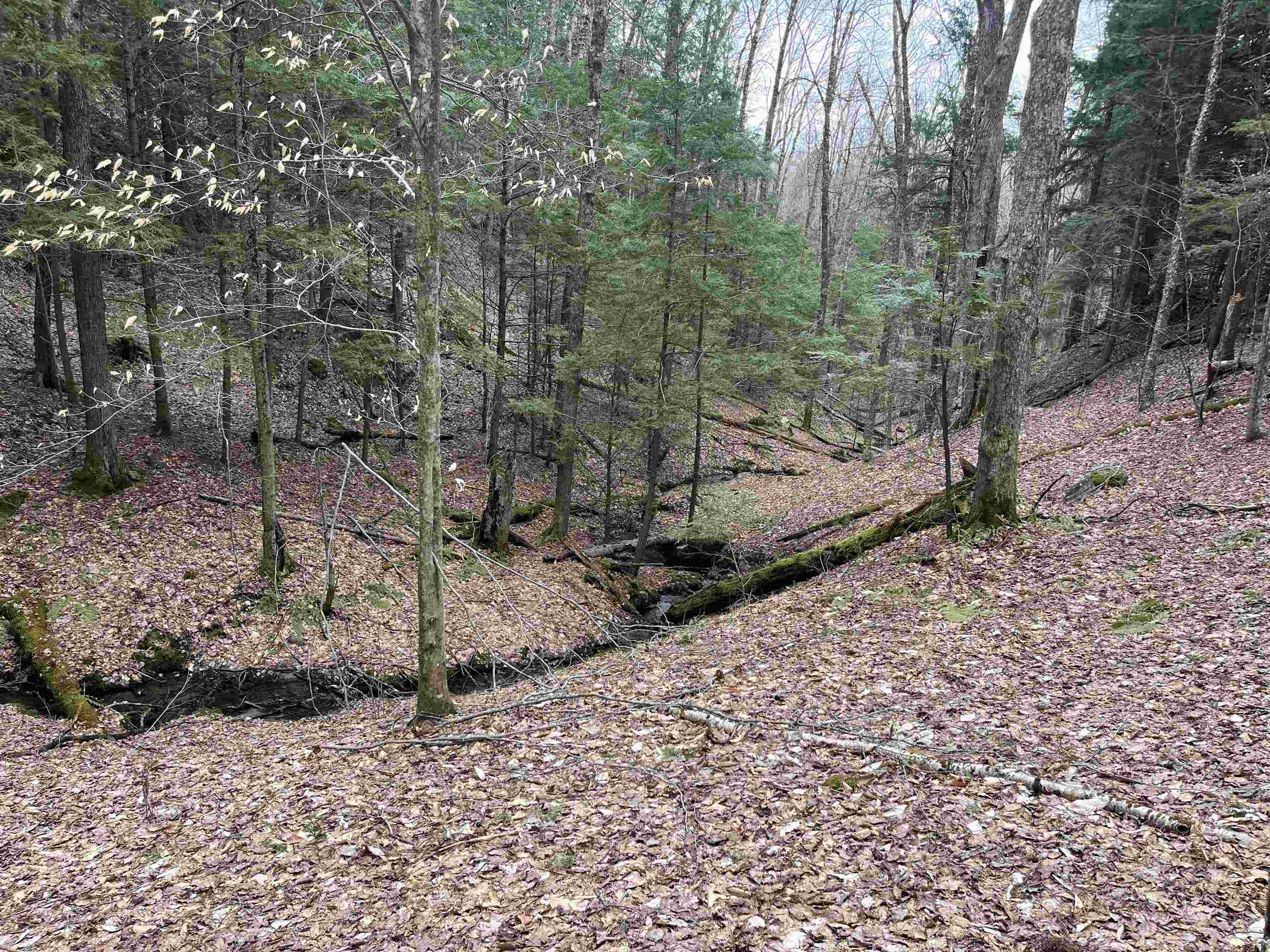 near 227 Dukes Road Johnson, VT 05656 Property 3