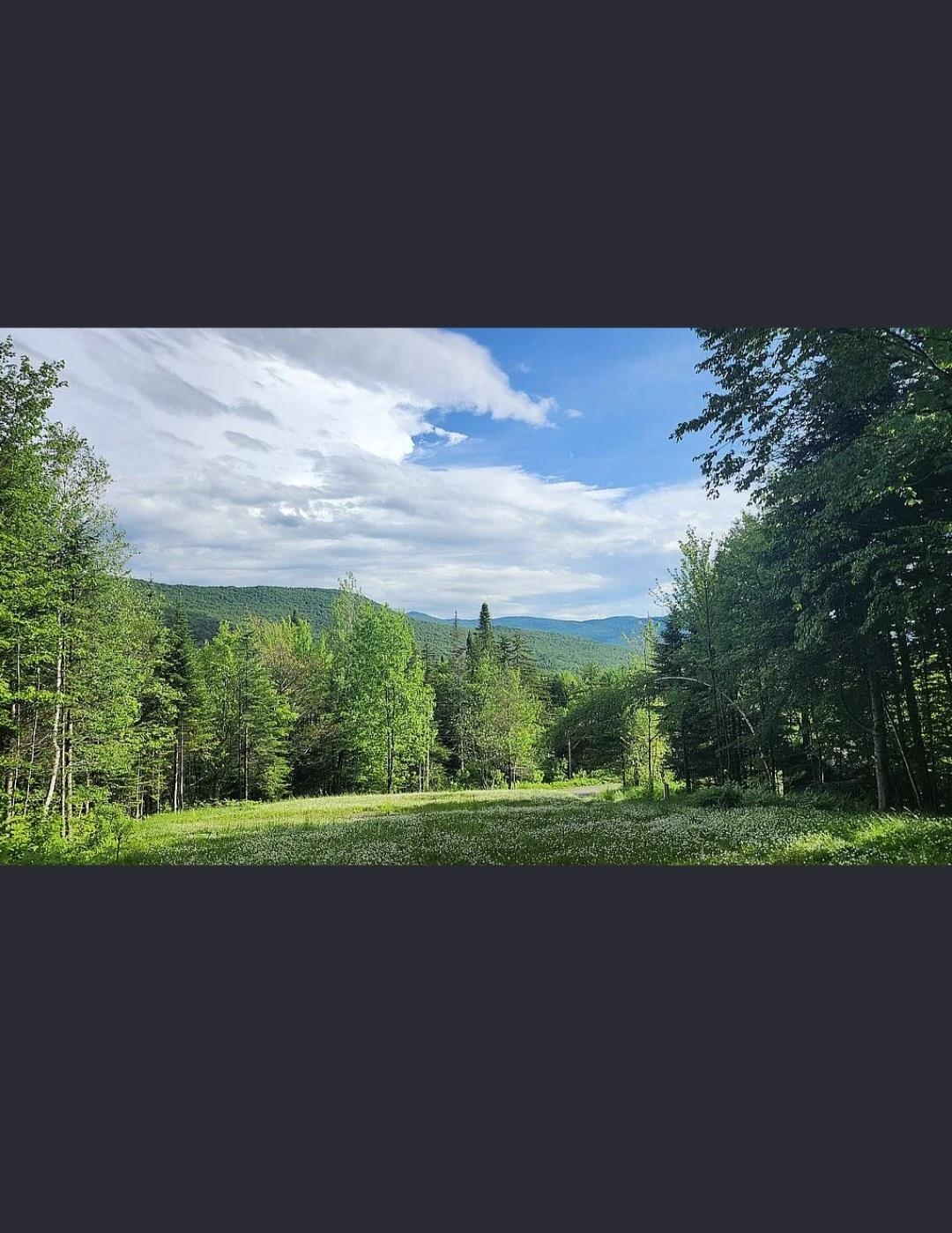 near 0 Route 242 Jay, VT 05859 Property 4 near 0 Route 242 Jay, VT 05859 Property 4