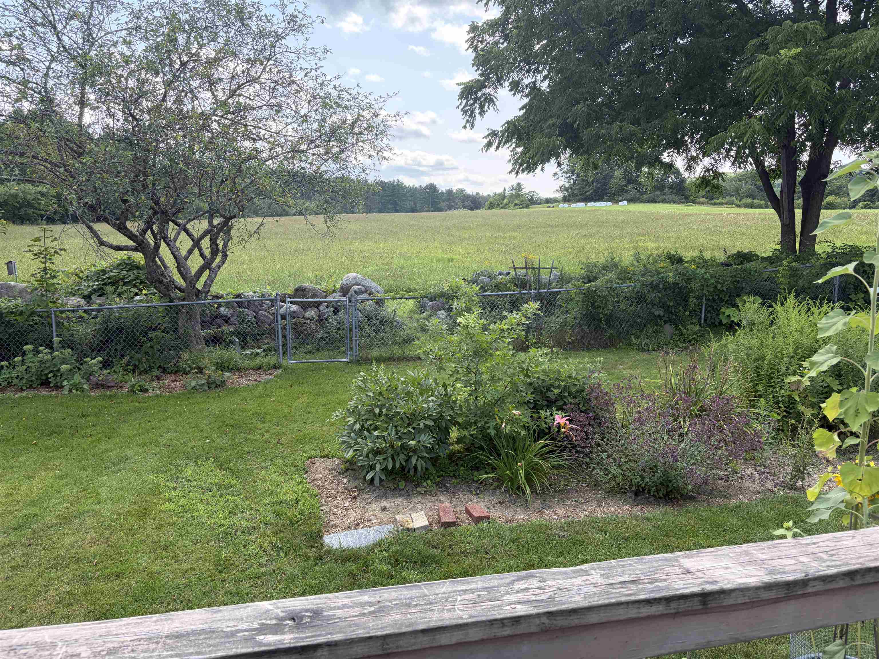 116 Green Meadow Road photo 4