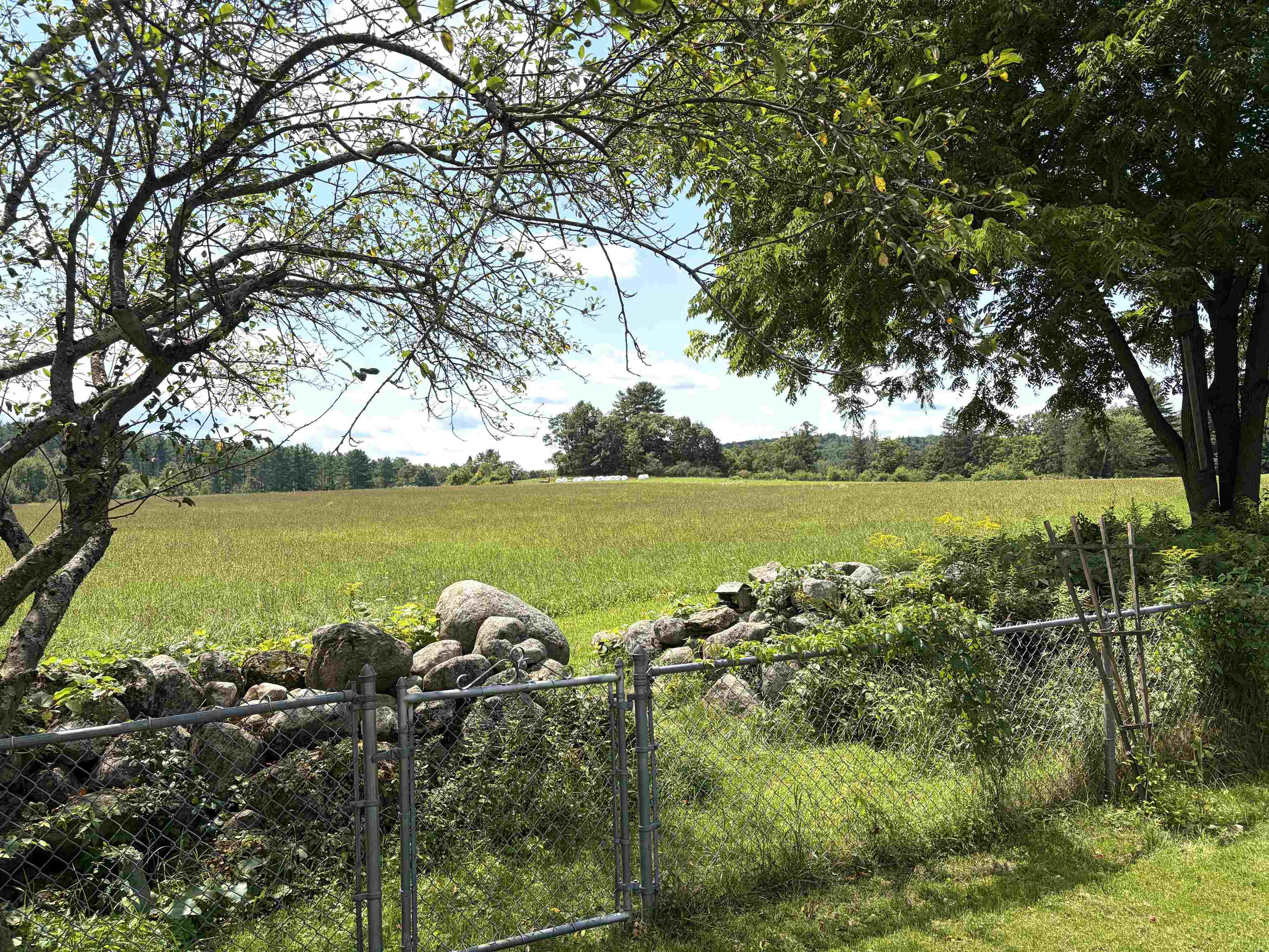 116 Green Meadow Road photo 5