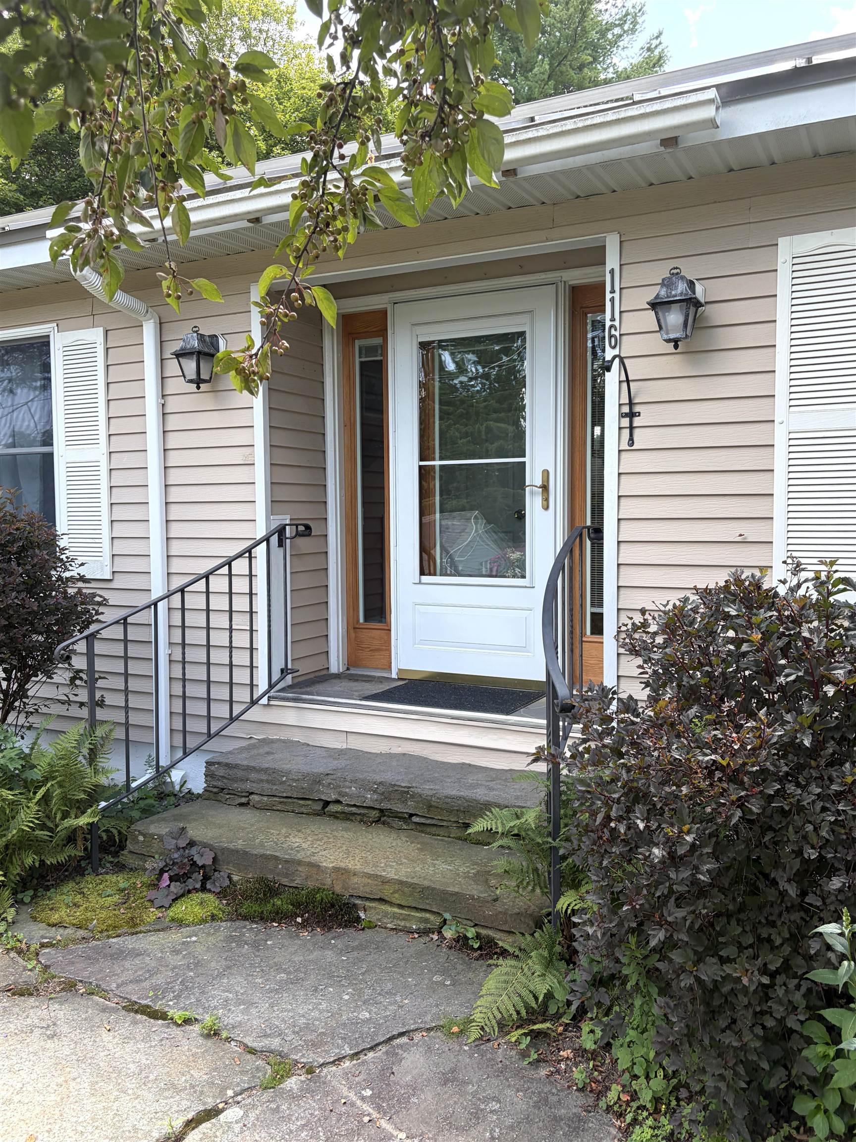 116 Green Meadow Road photo 53