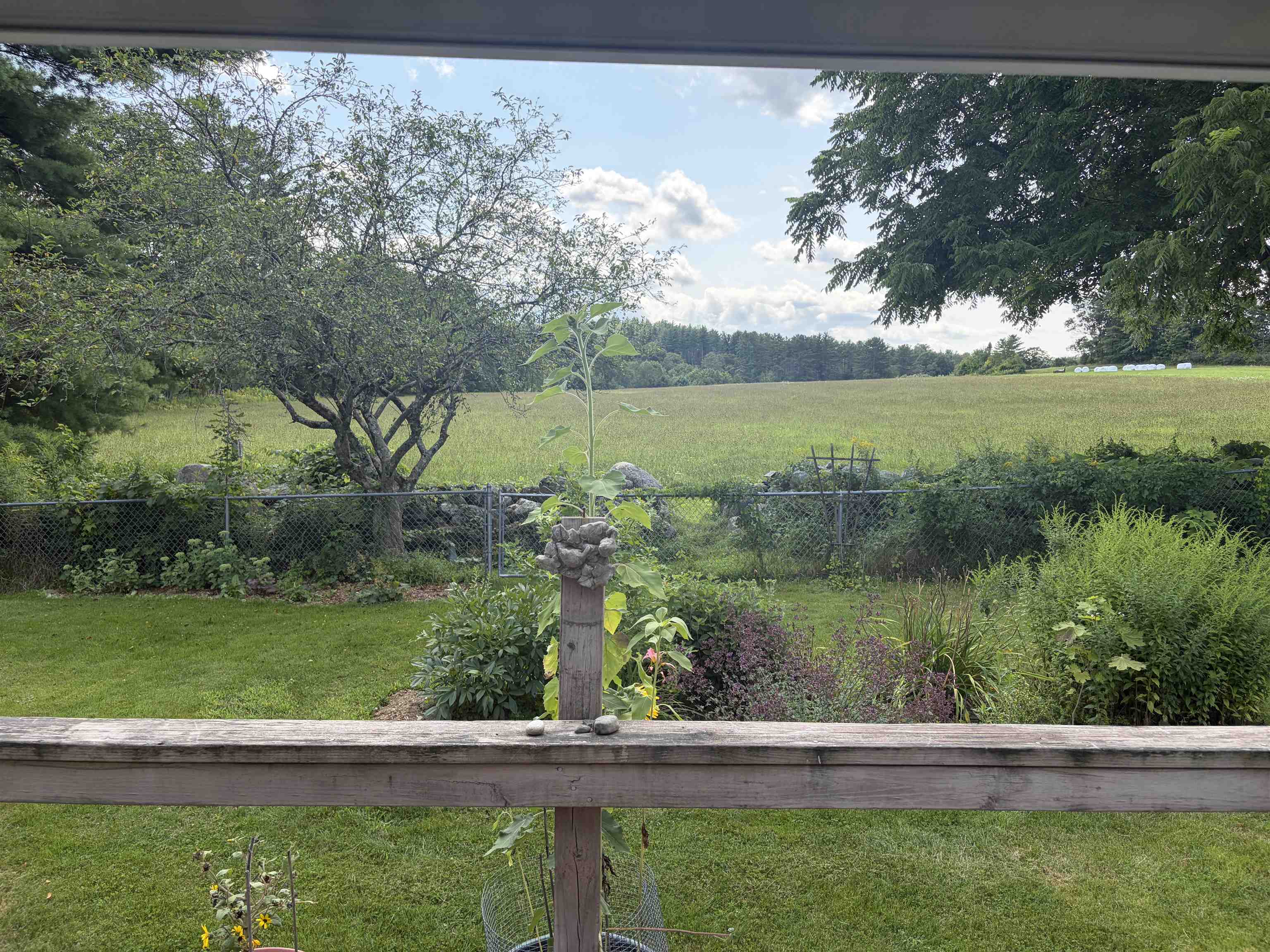 116 Green Meadow Road photo 54