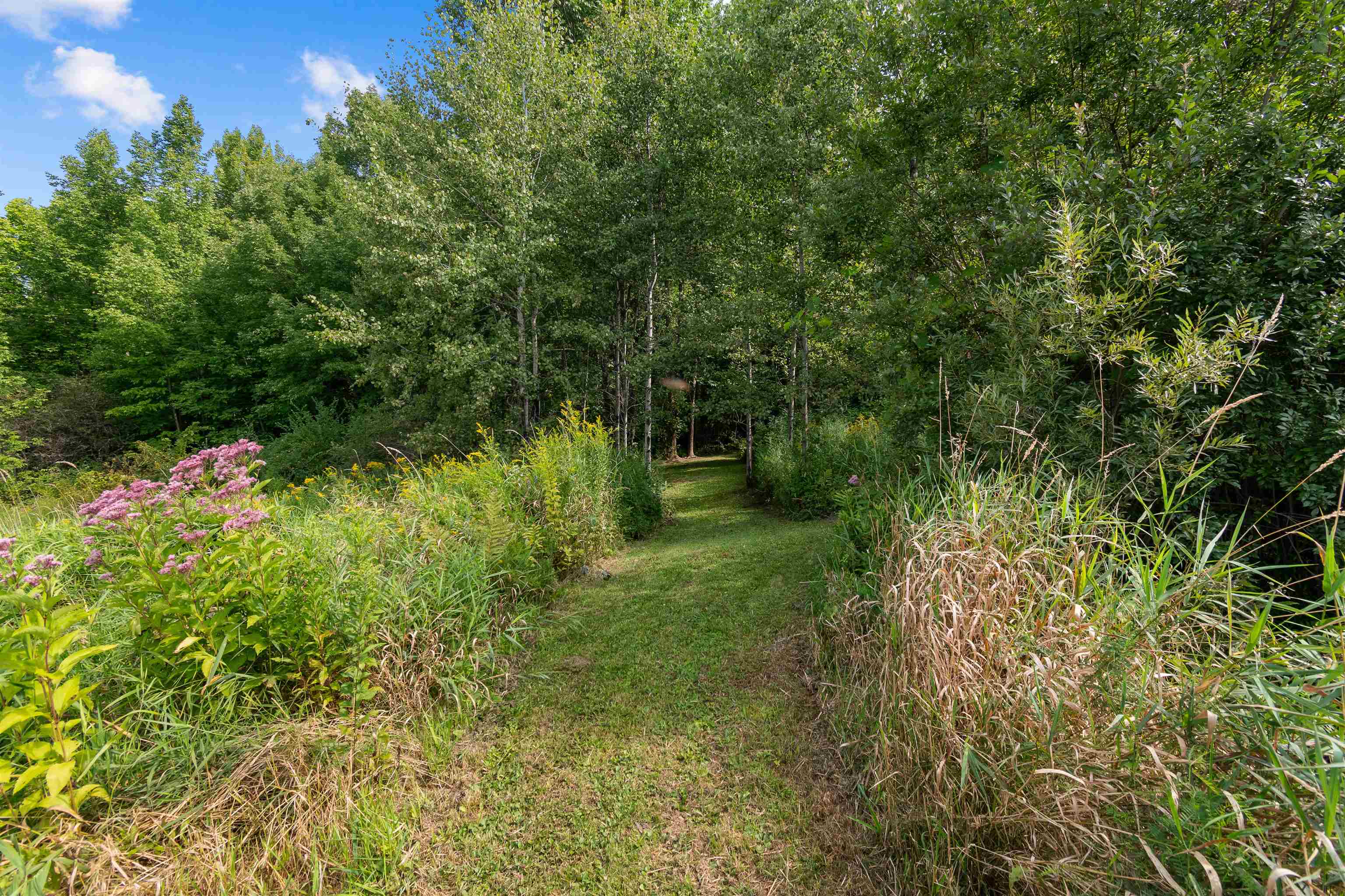 23 Covey Road photo 59