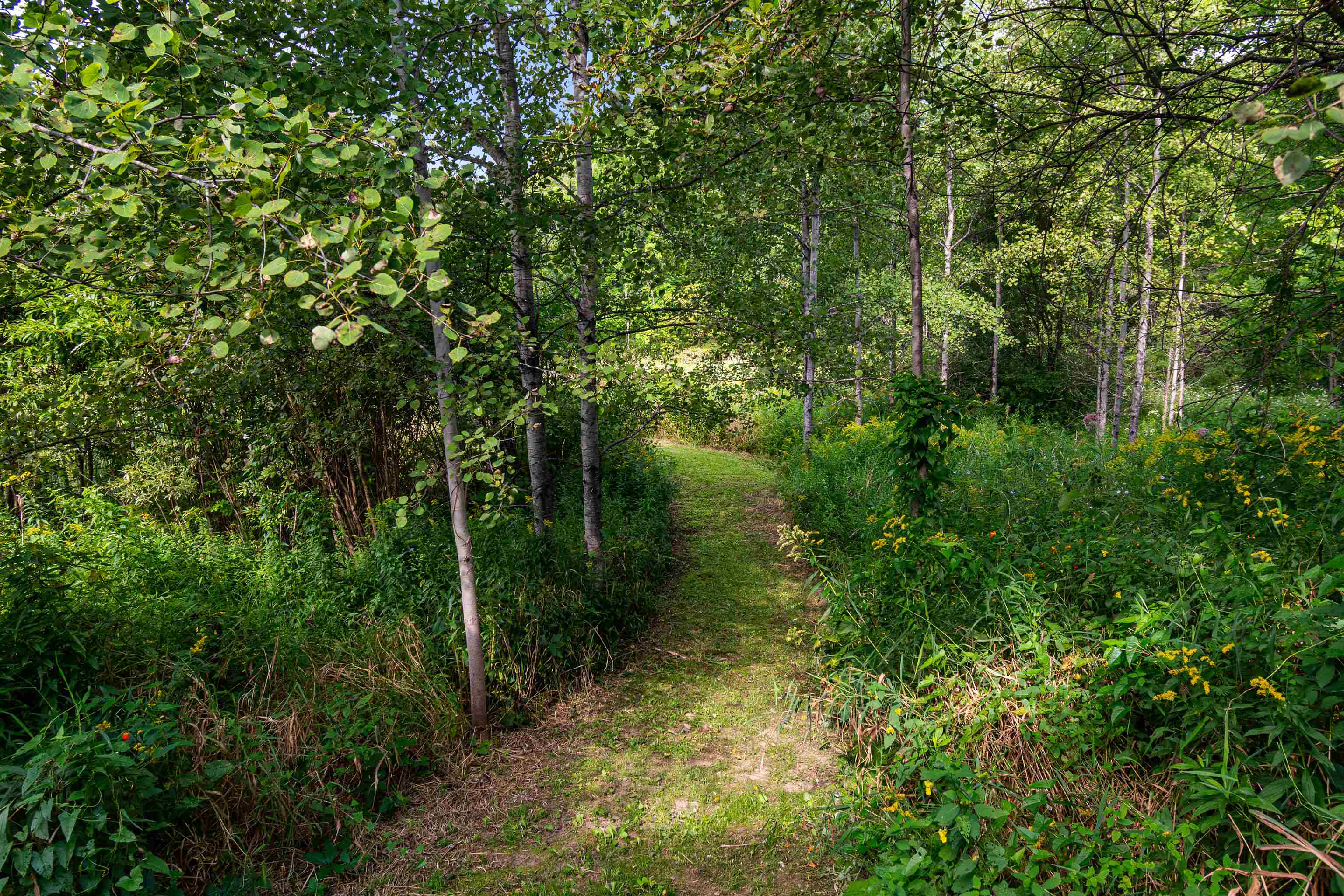 23 Covey Road photo 60