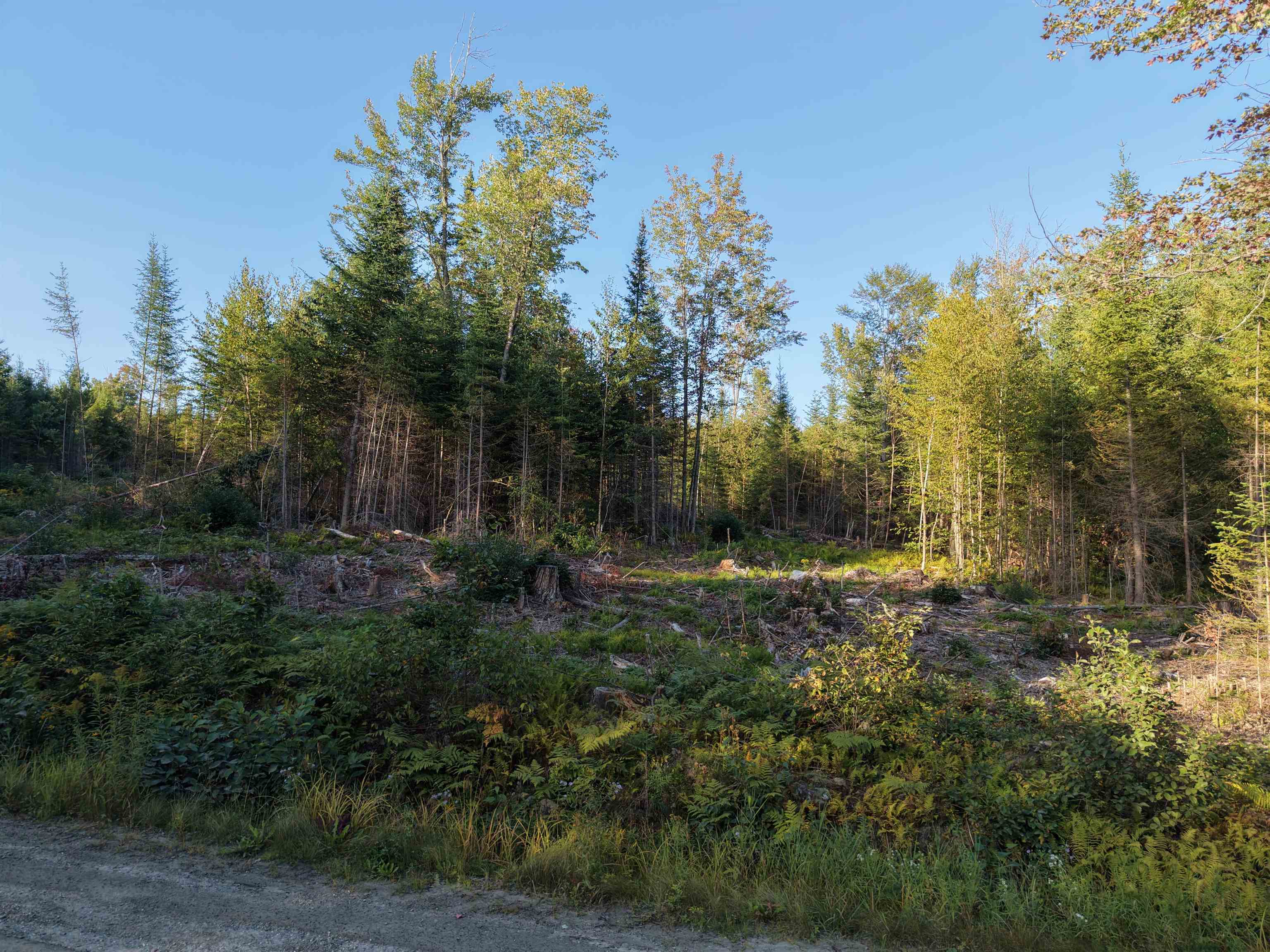 0000 Morin Road photo 10