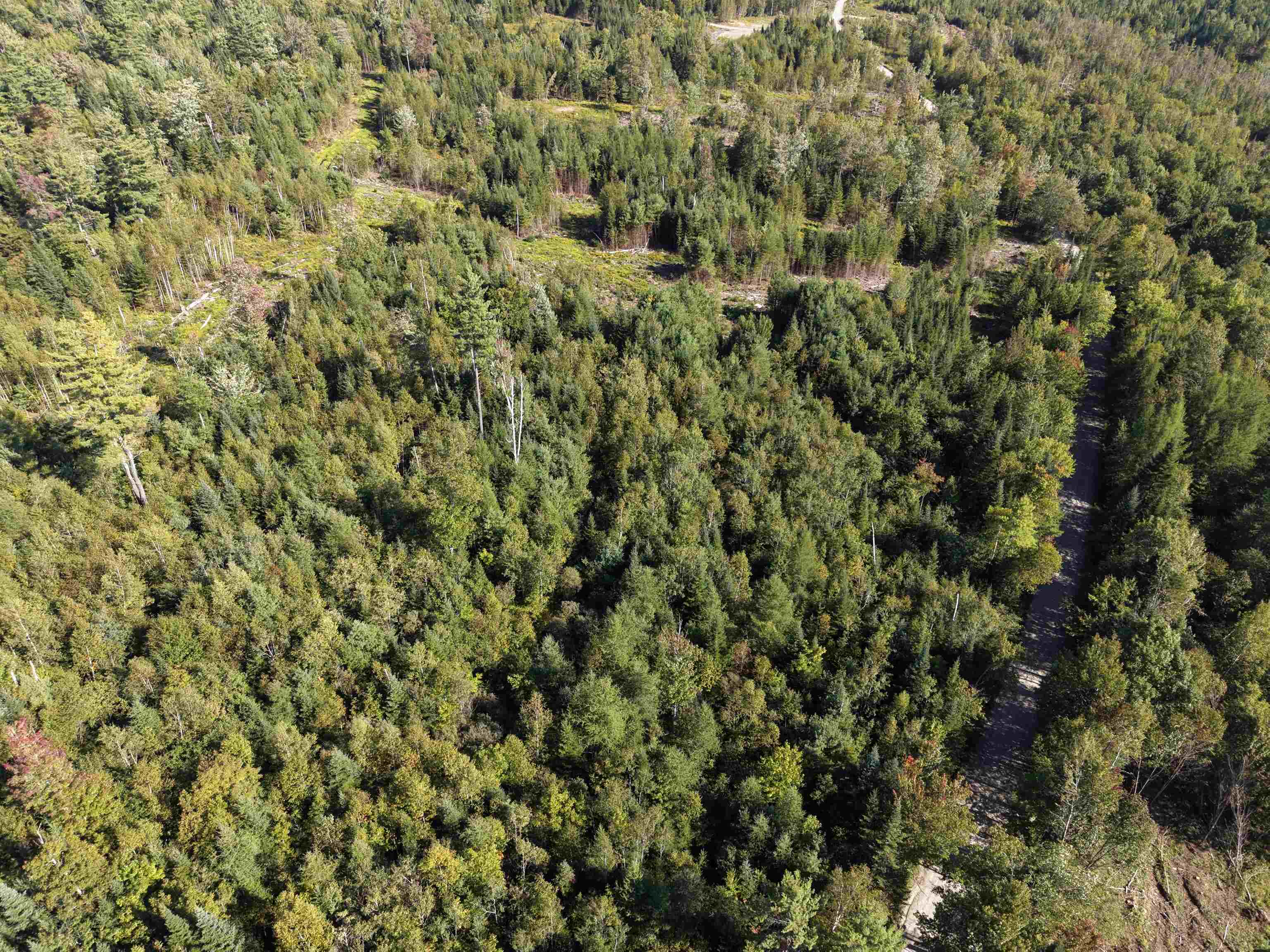 0000 Morin Road photo 12
