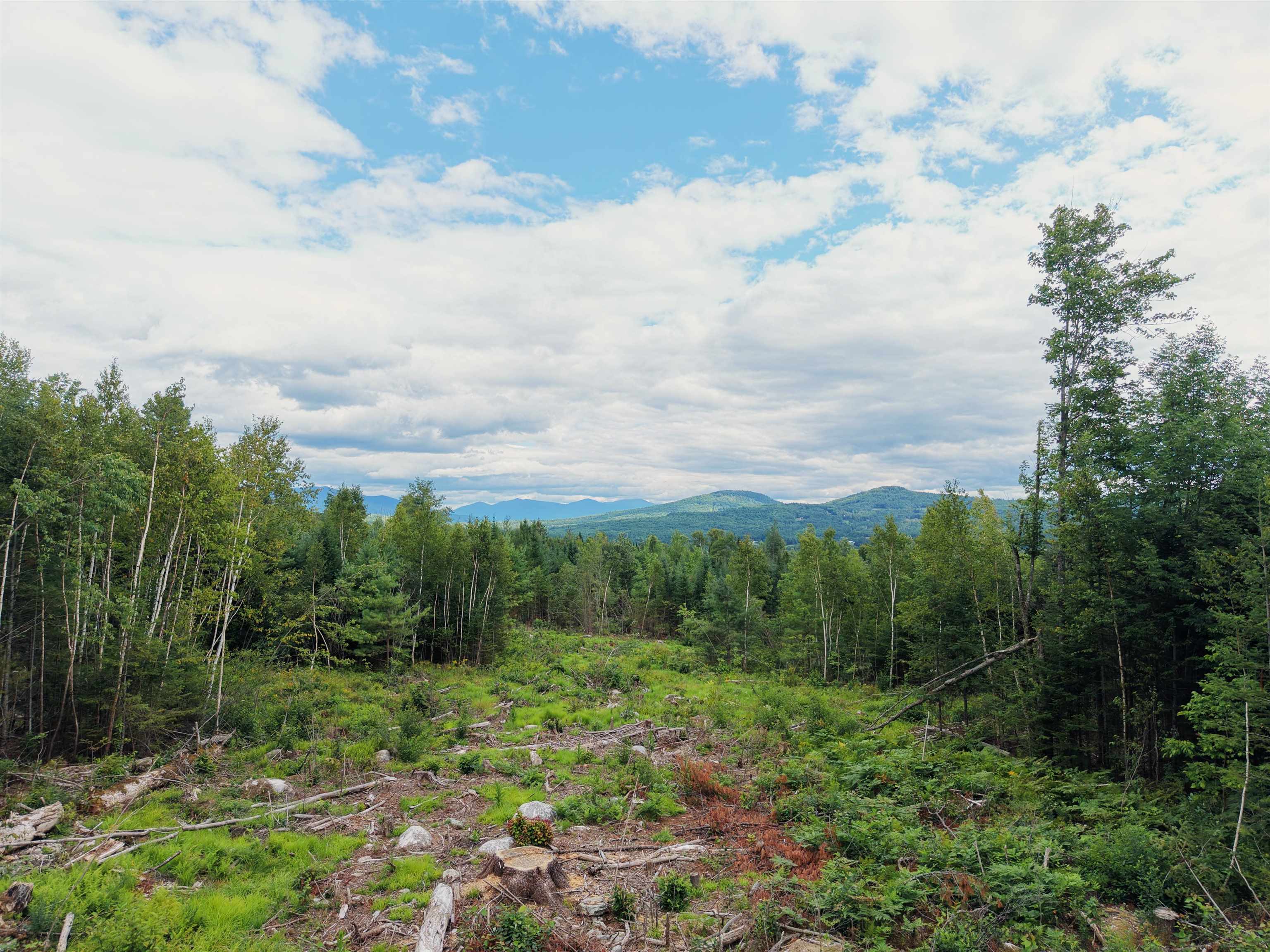 0000 Morin Road photo 16