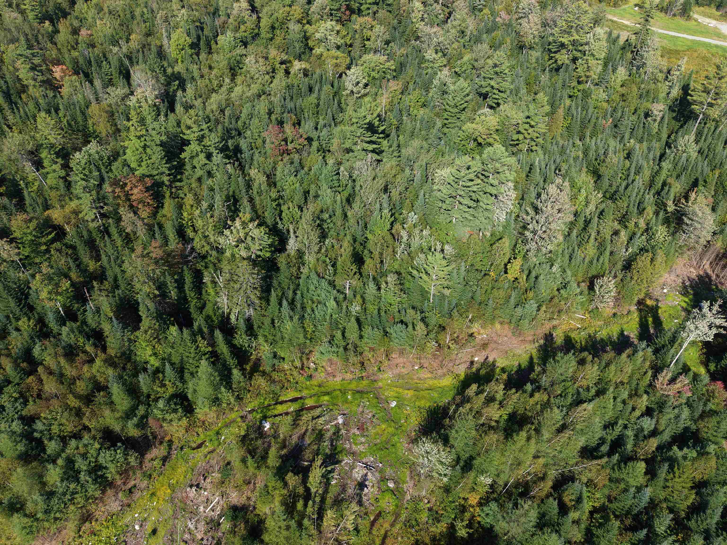0000 Morin Road photo 2