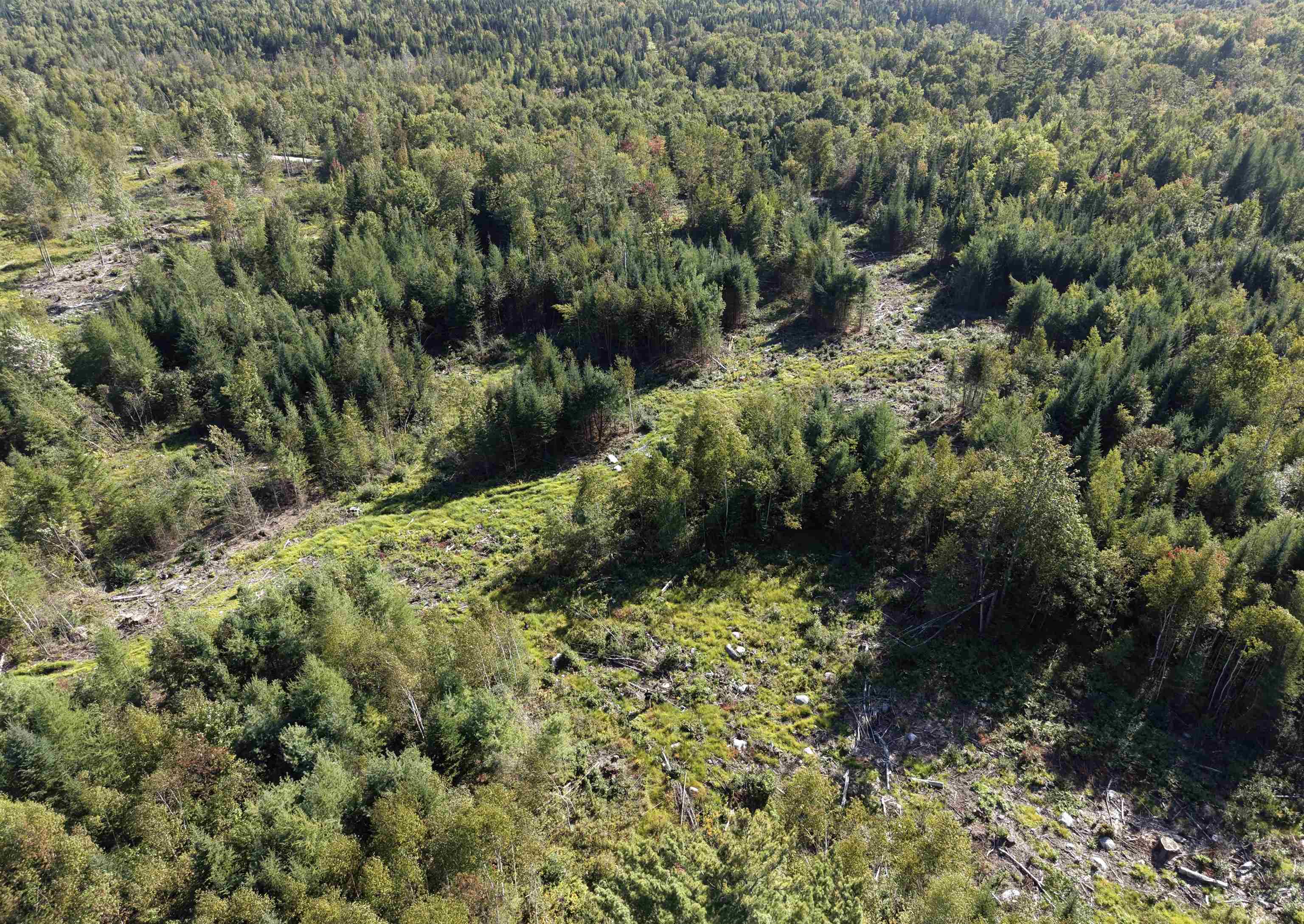 0000 Morin Road photo 3