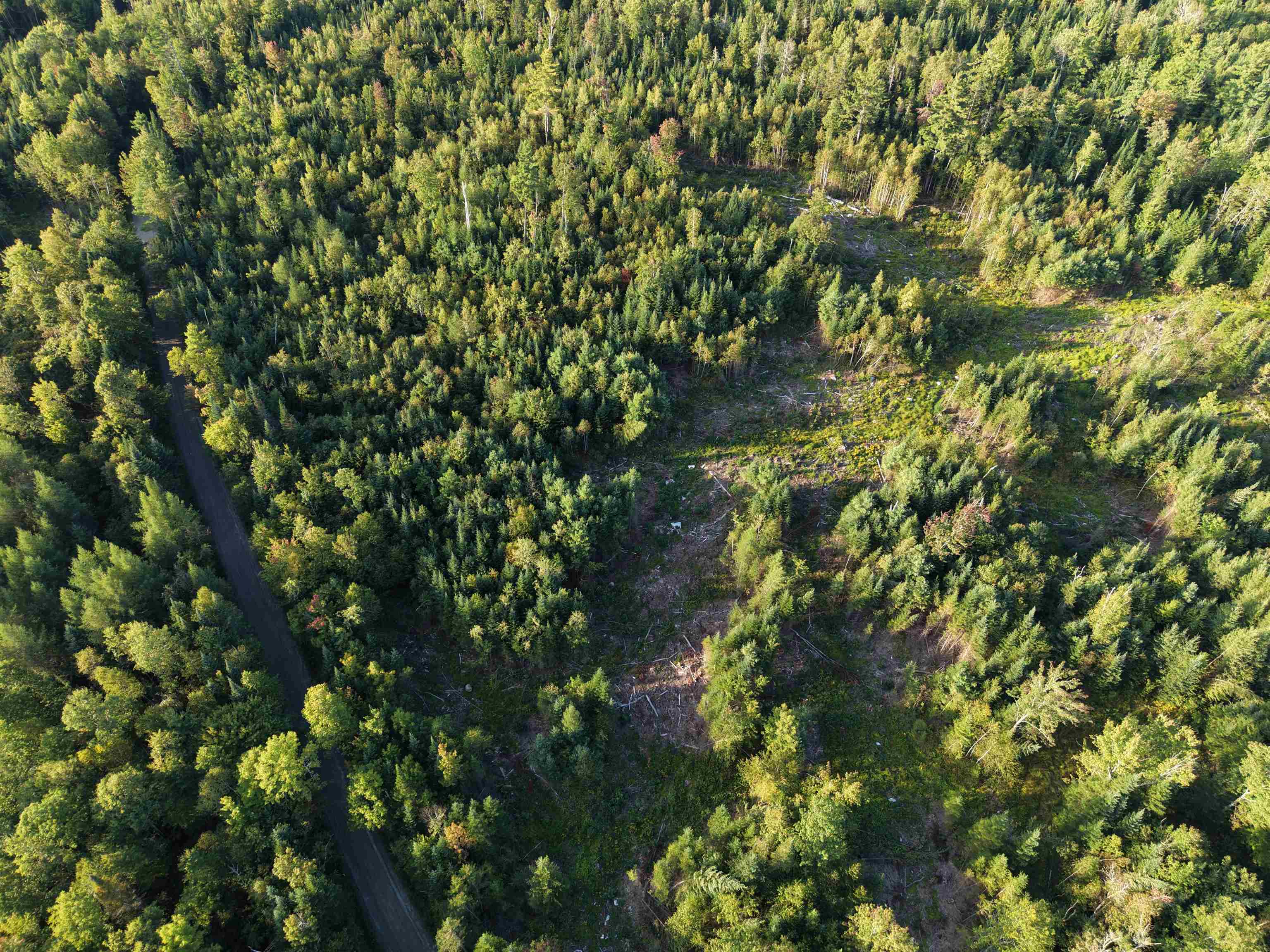 0000 Morin Road photo 4