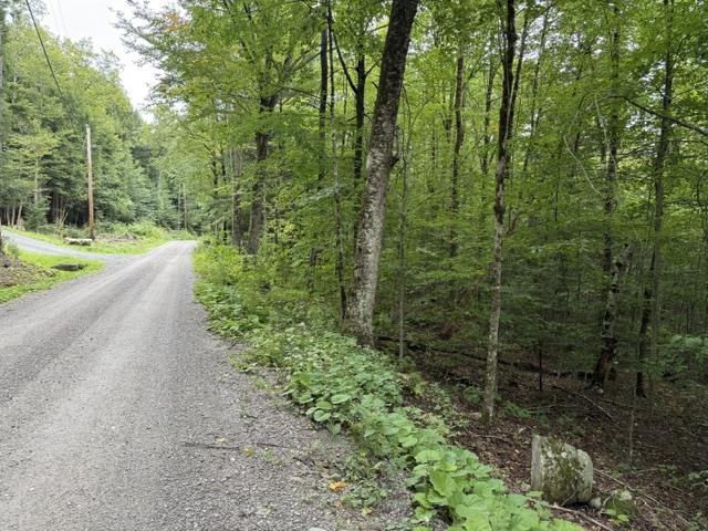 0 Under the Mountain Road photo 5