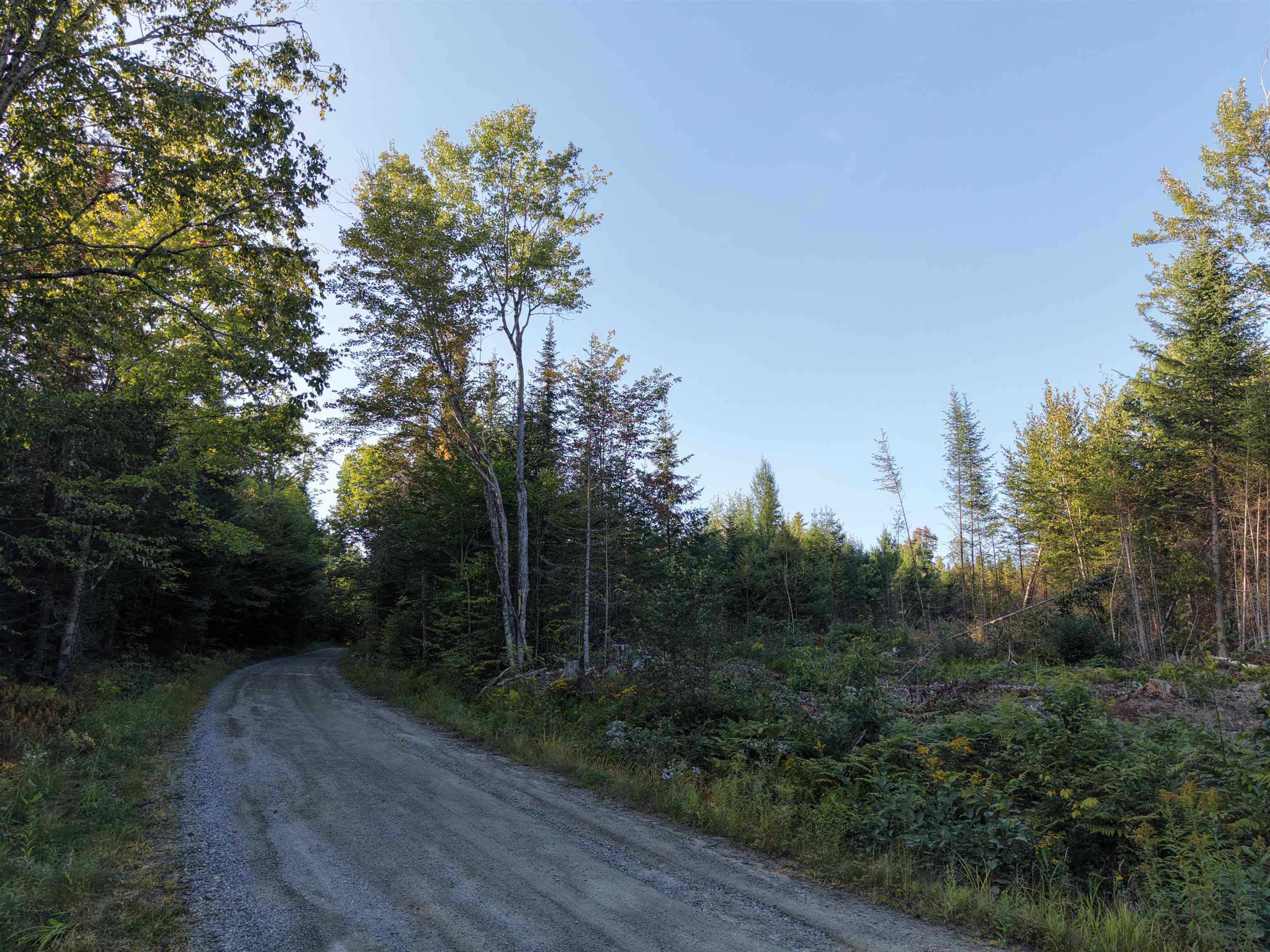 0000 Morin Road photo 6
