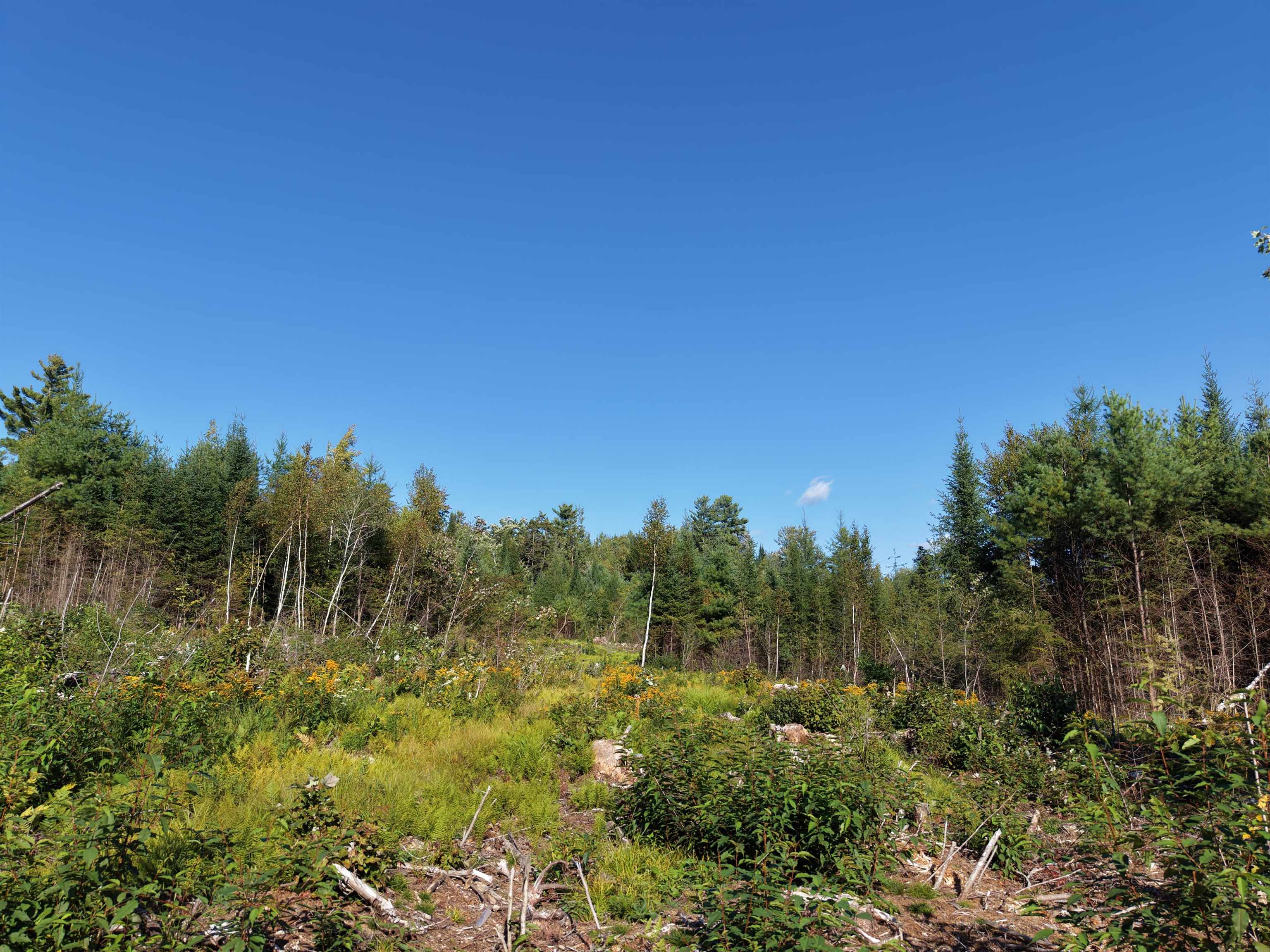 0000 Morin Road photo 8