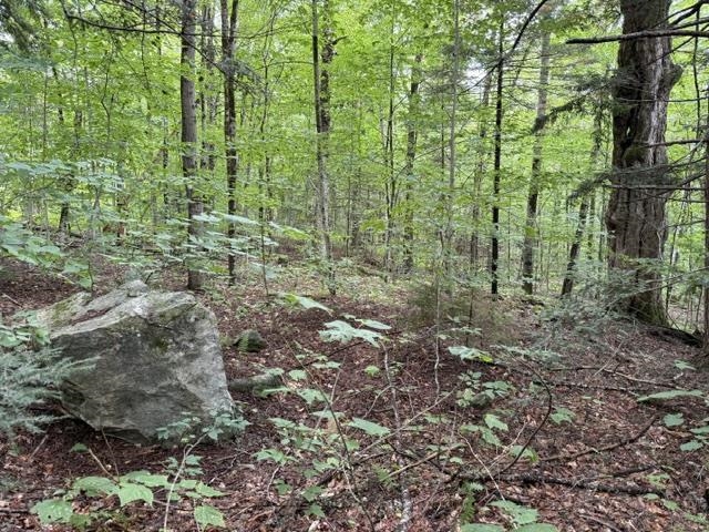 0 Under the Mountain Road photo 9